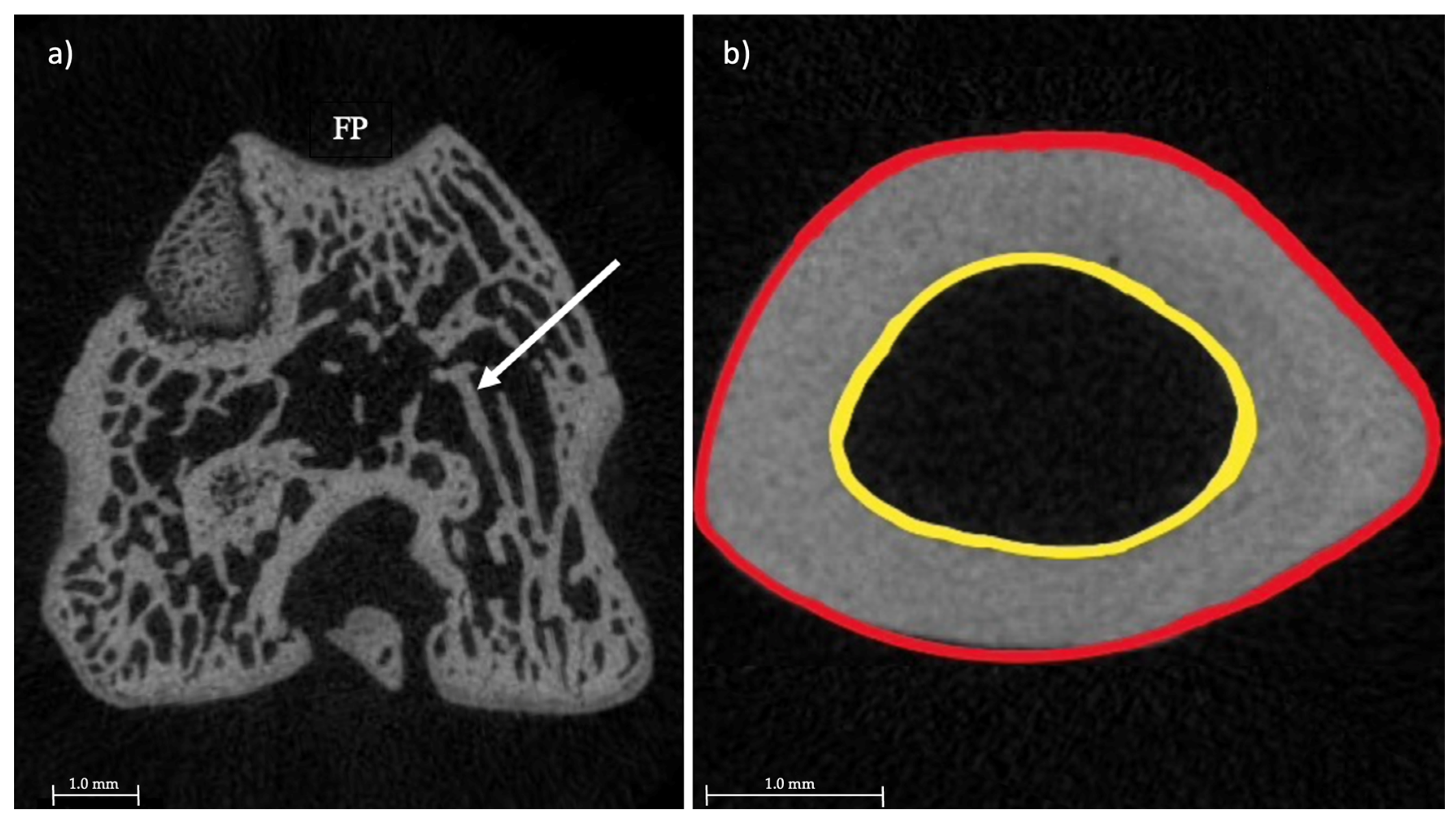 Toxics 10 00086 g002