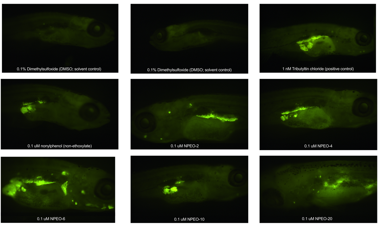 Toxics 10 00099 g006