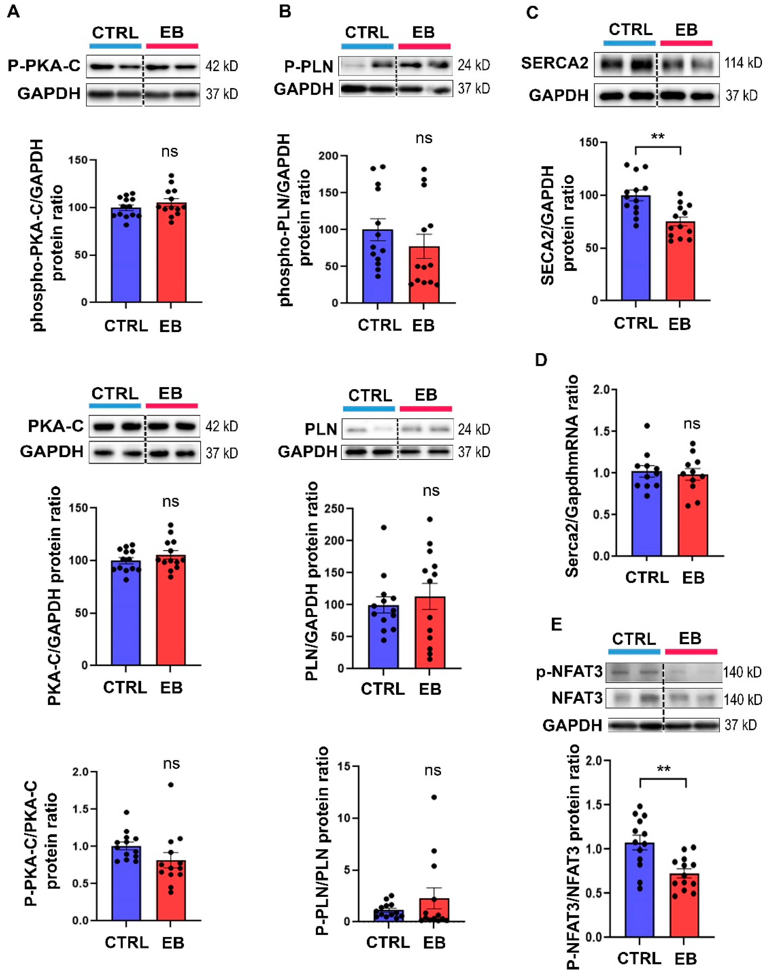 Toxics 10 00102 g002