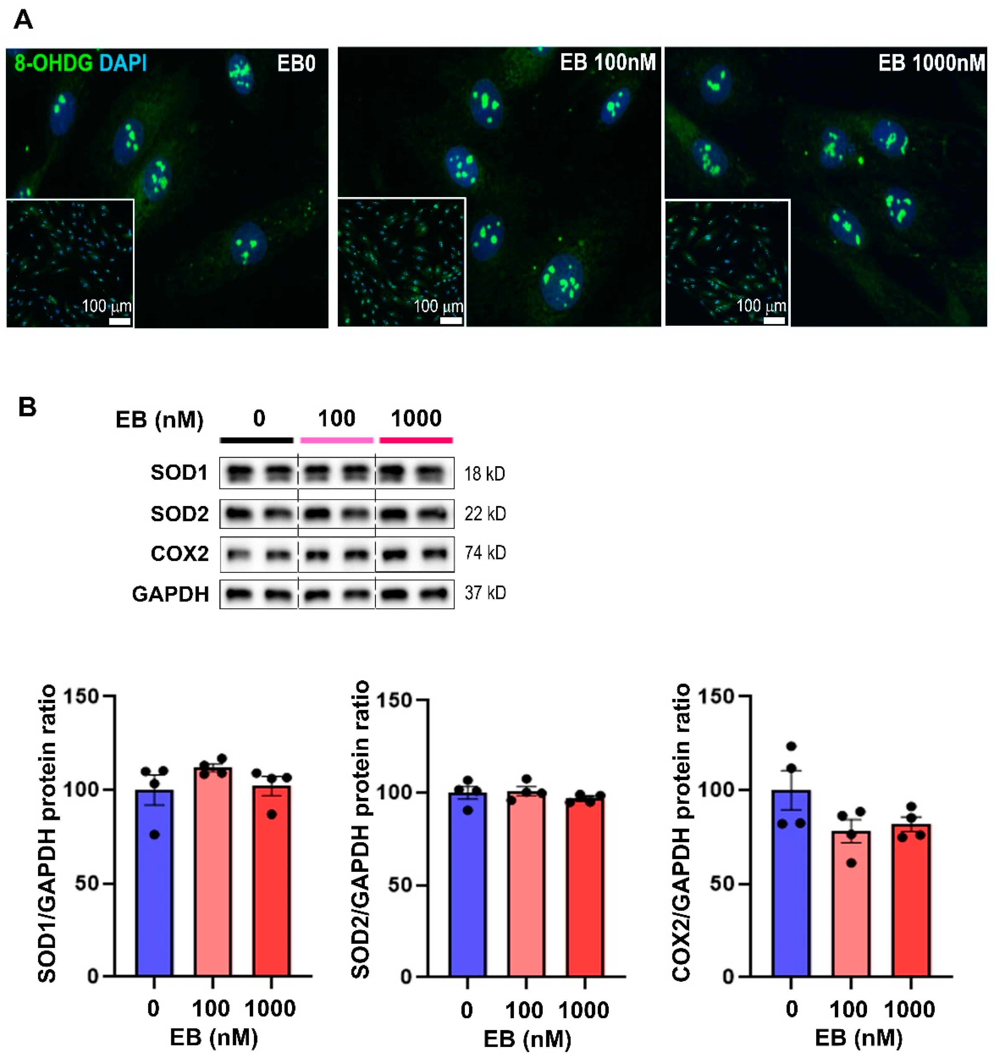 Toxics 10 00102 g004