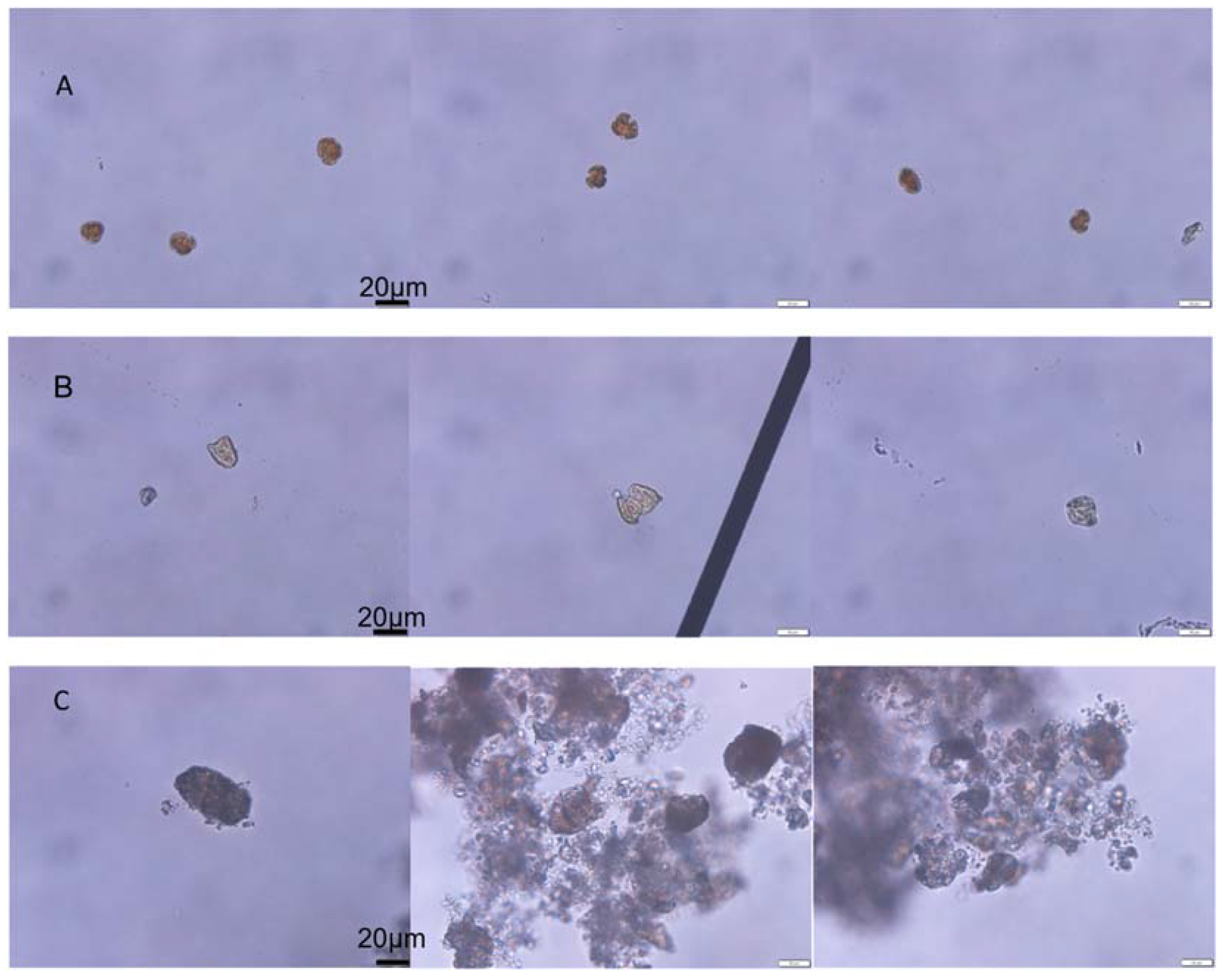 Toxics 10 00105 g001