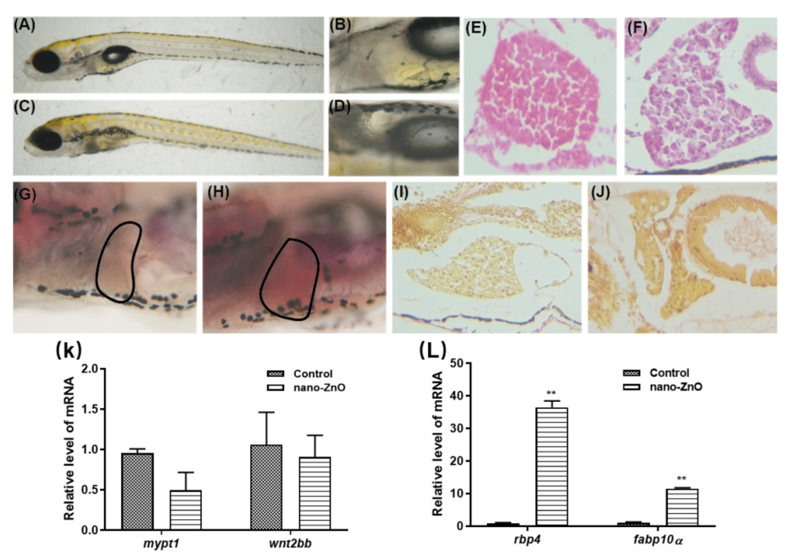 Toxics 10 00144 g004