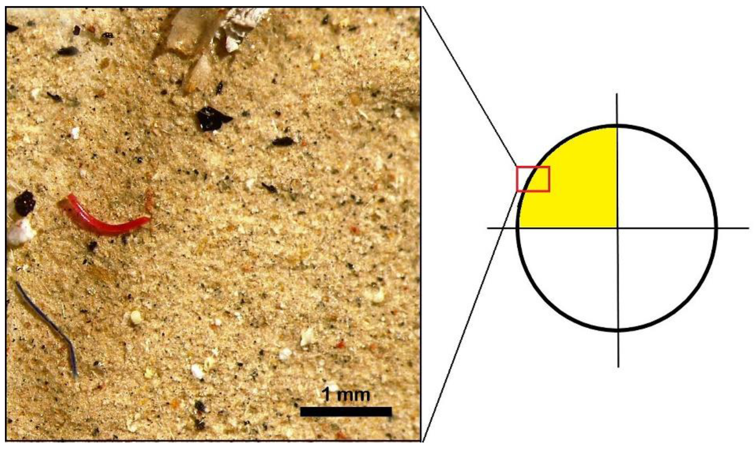 Toxics 10 00159 g002