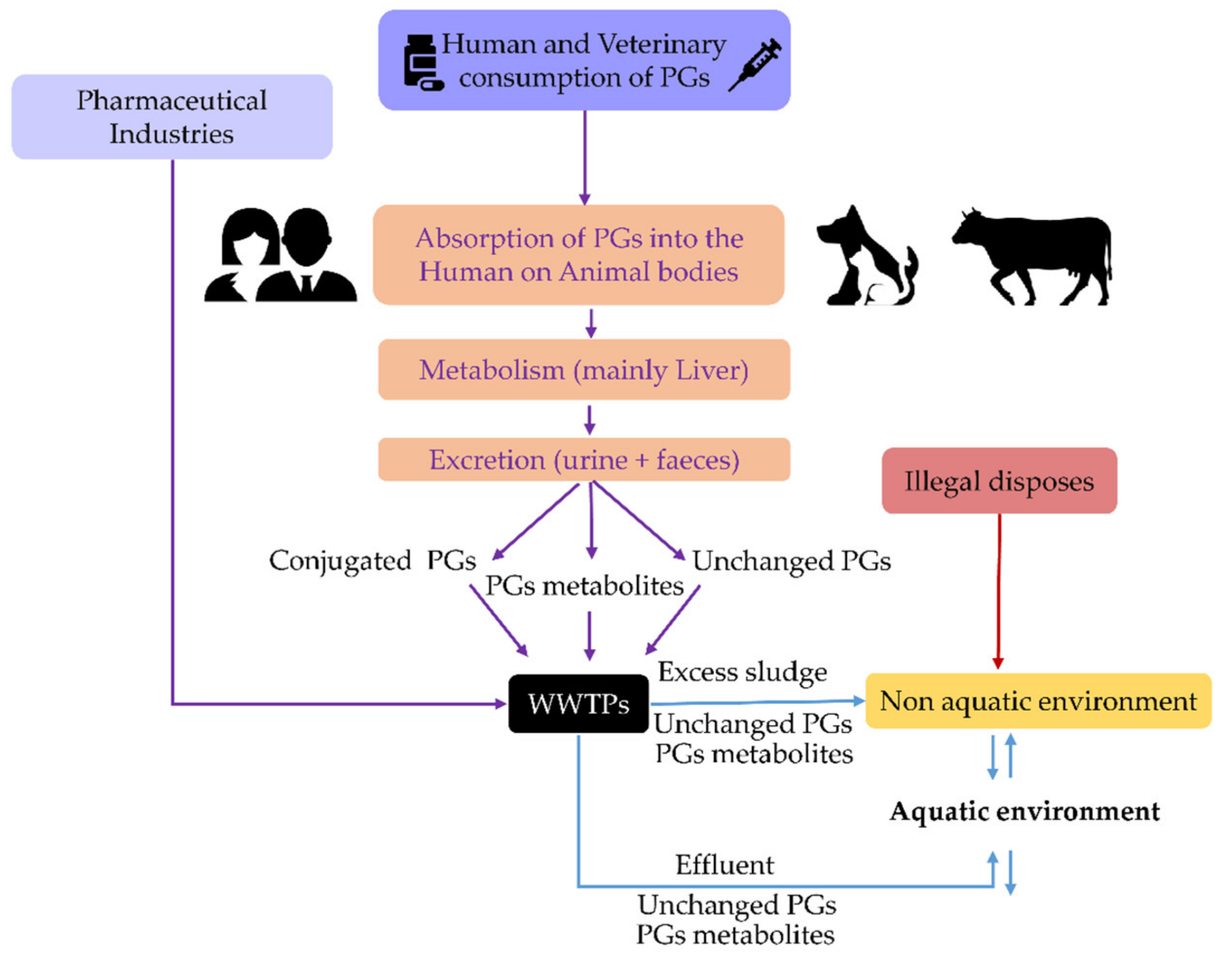 Toxics 10 00163 g003