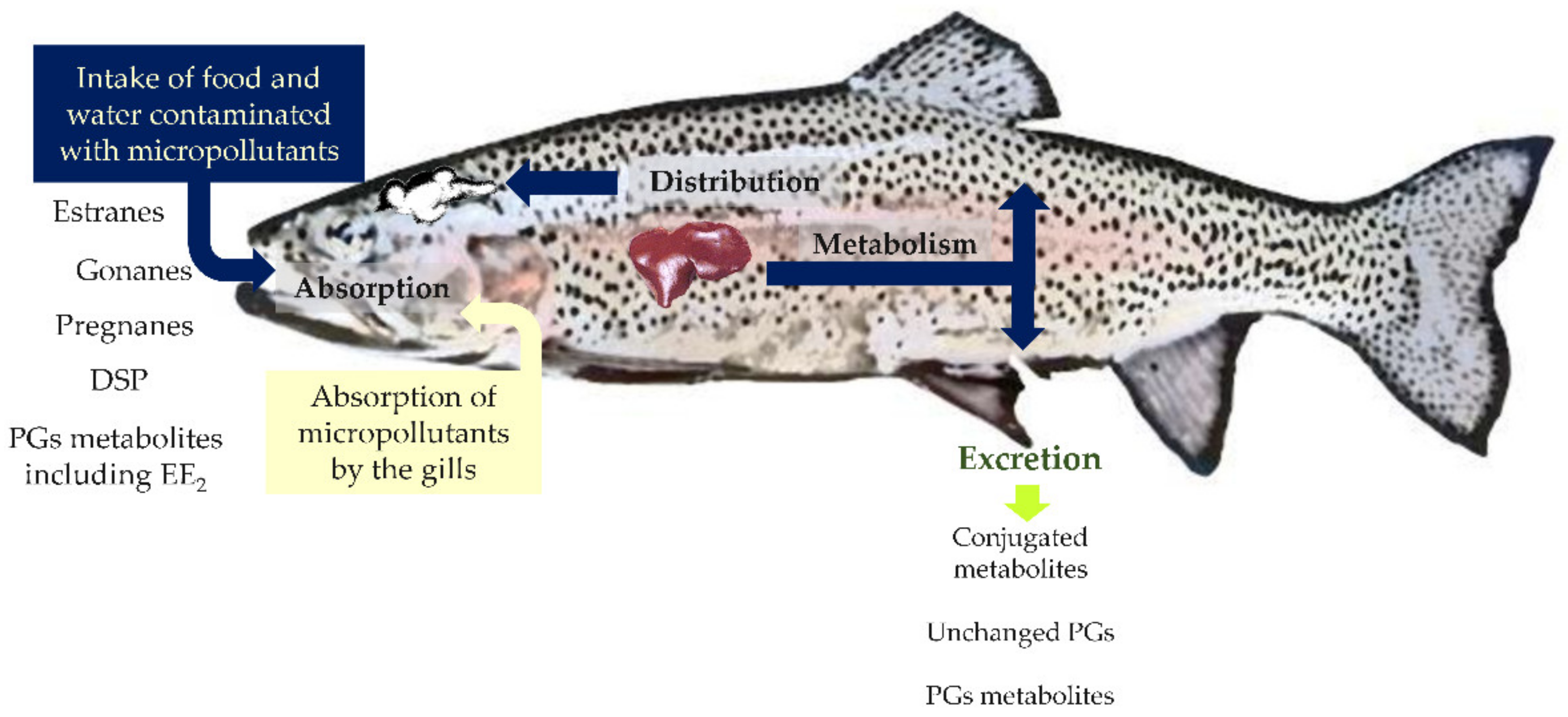 Toxics 10 00163 g004