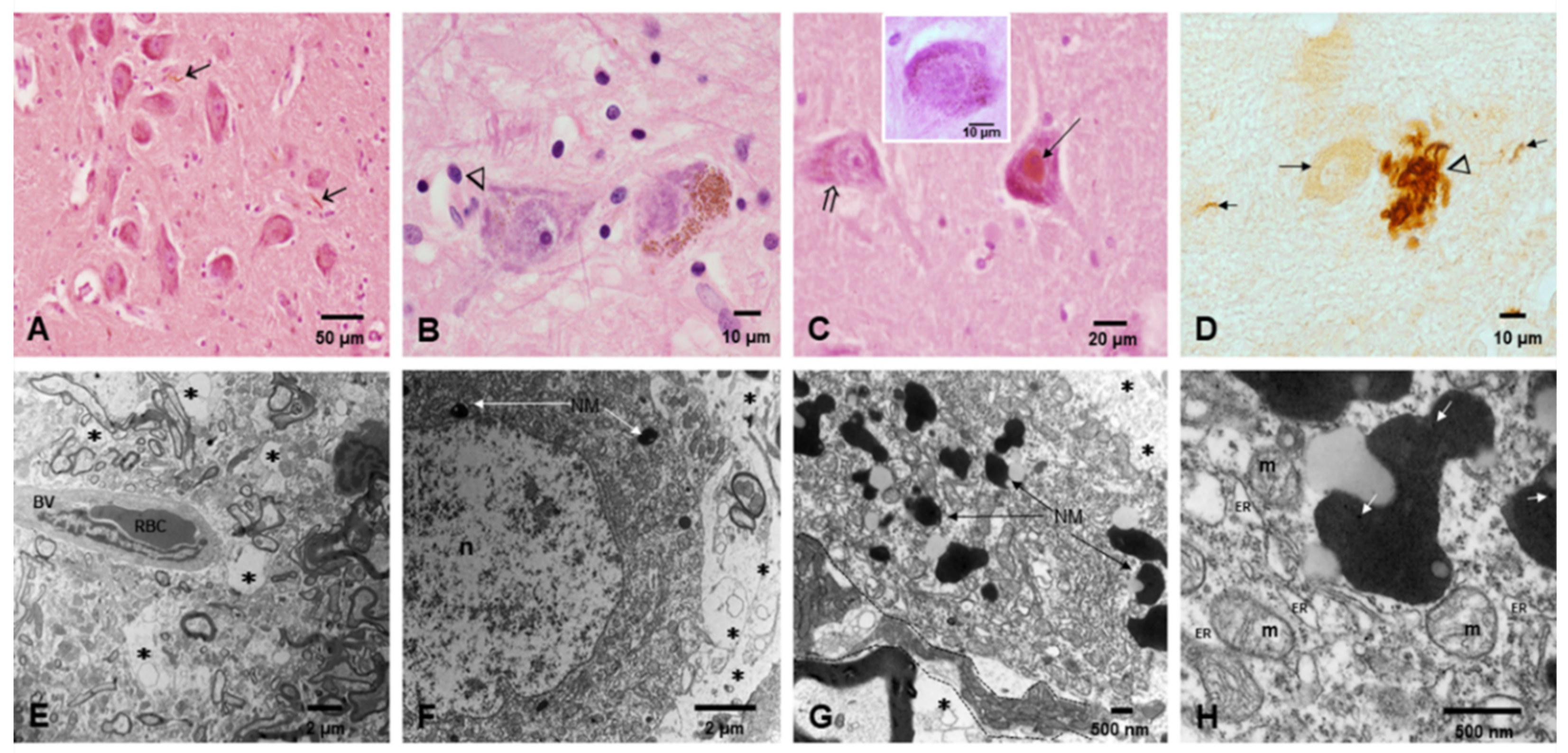Toxics 10 00164 g004