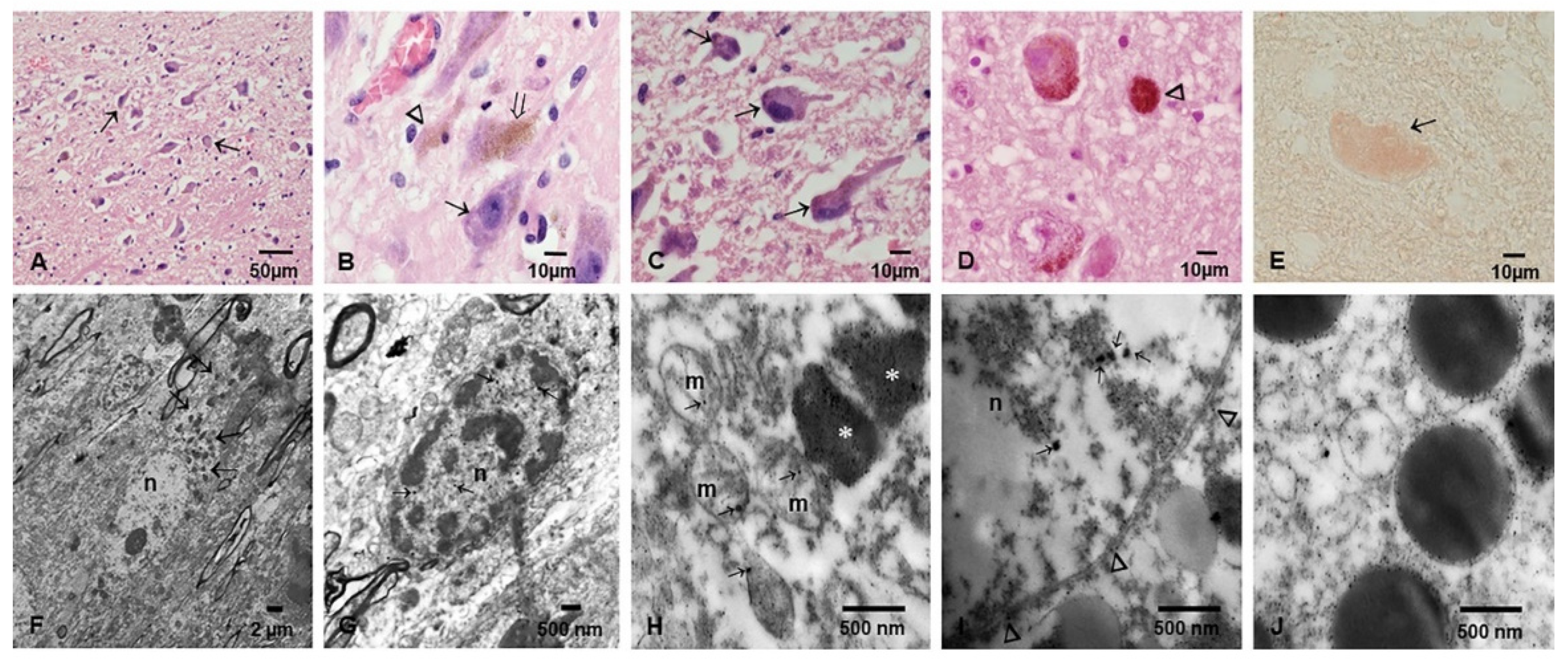 Toxics 10 00164 g005