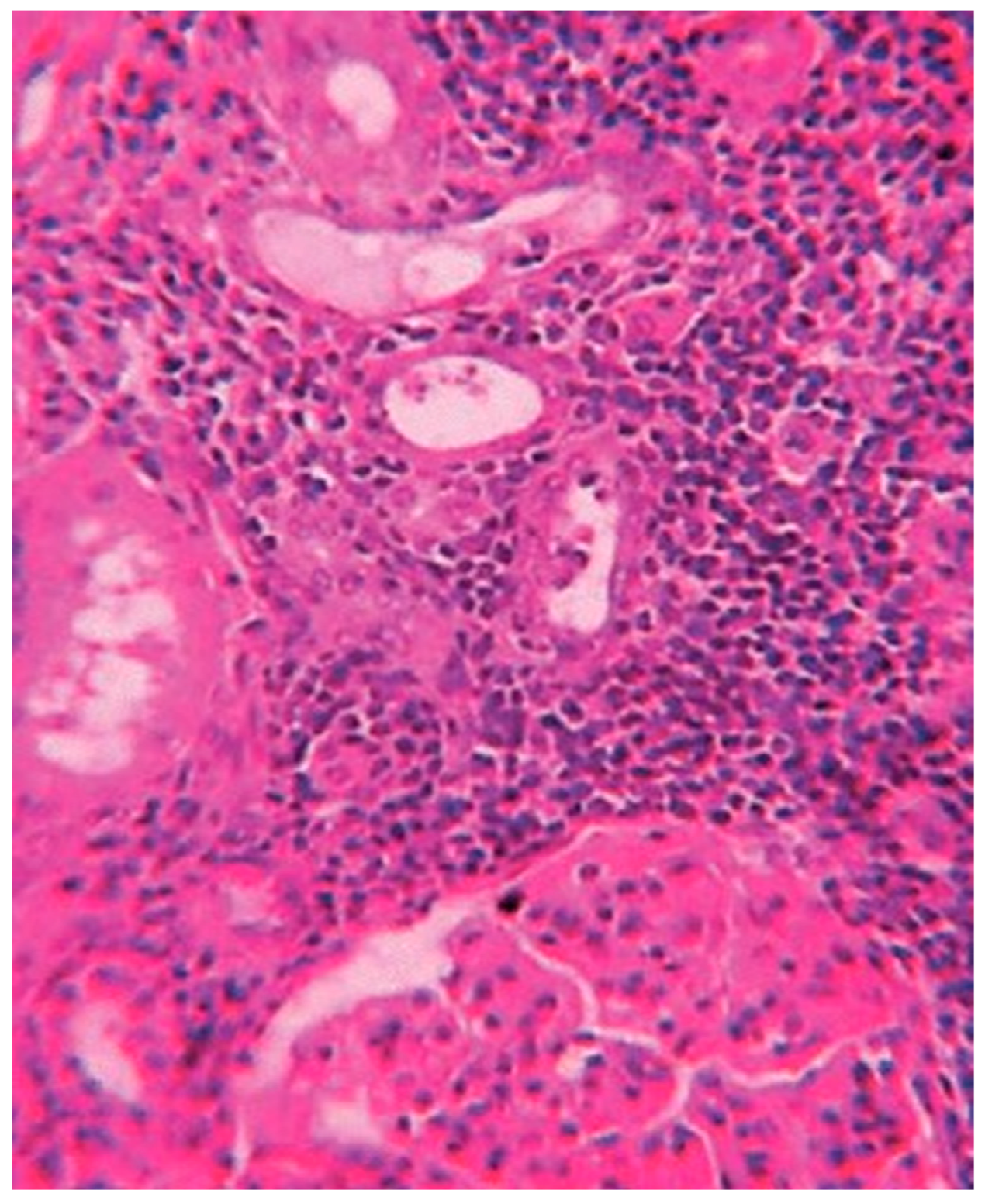 Toxics 10 00166 g002 Toxics 10 00166 g002