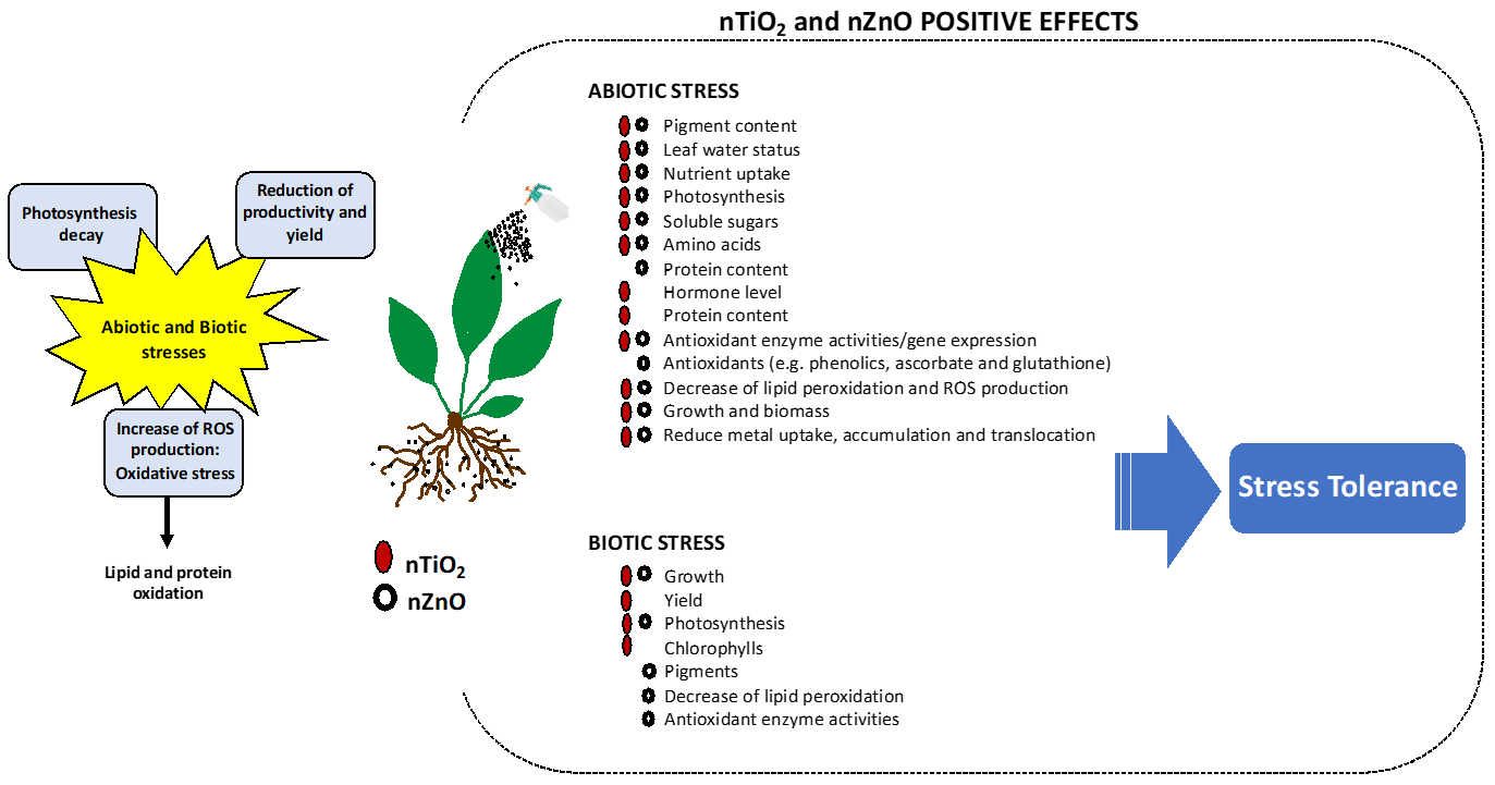 Toxics 10 00172 g001