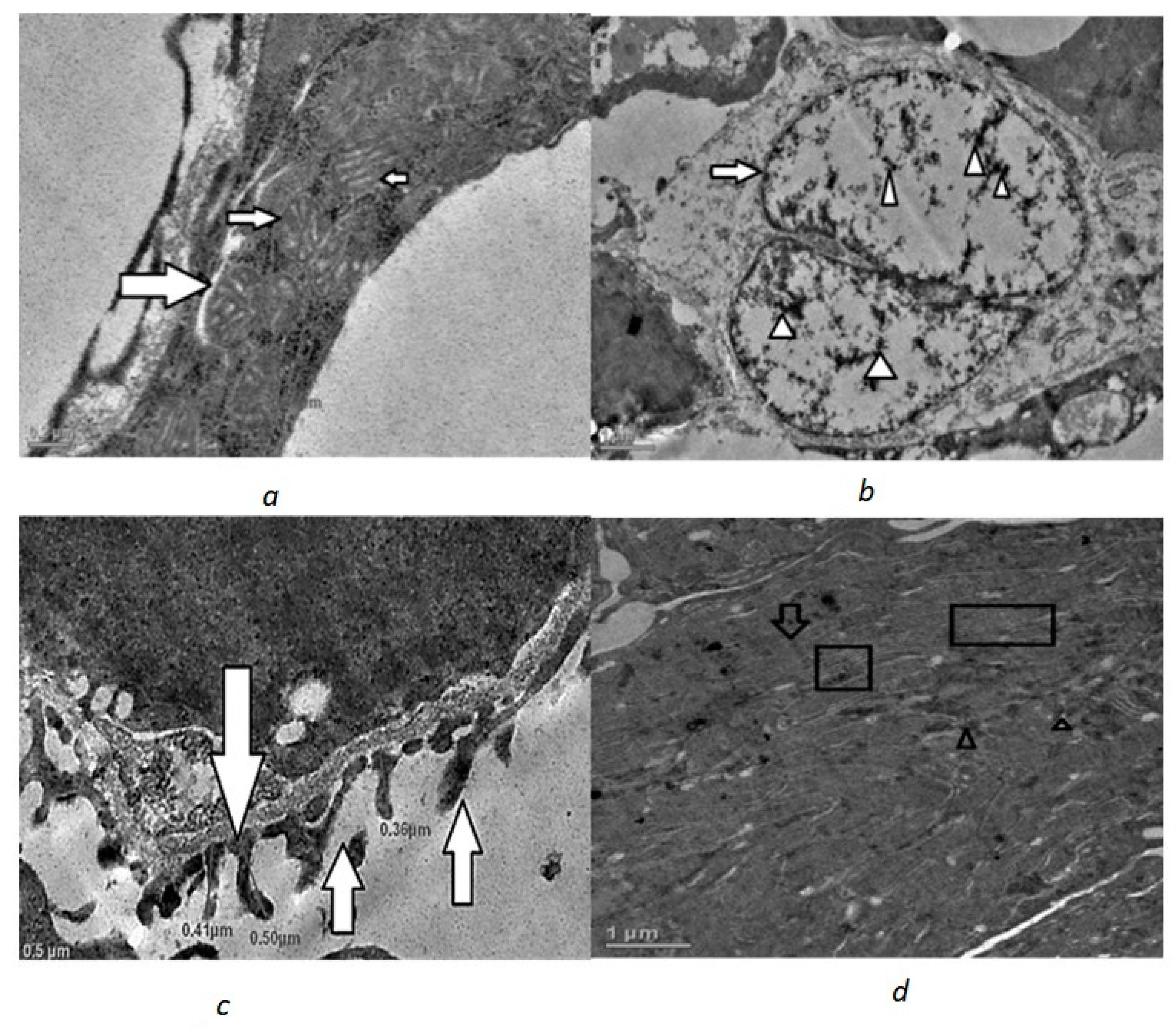 Toxics 10 00177 g001
