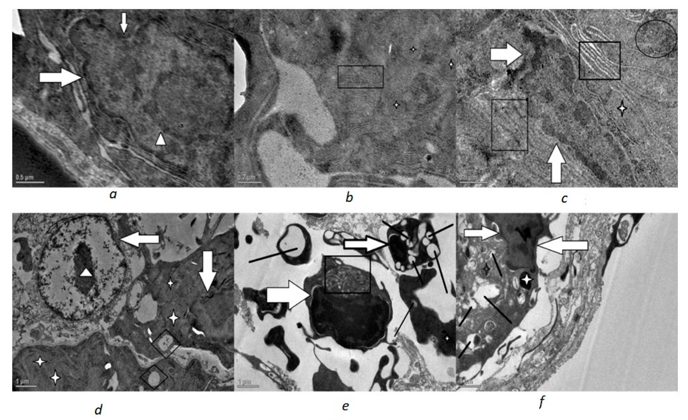 Toxics 10 00177 g002
