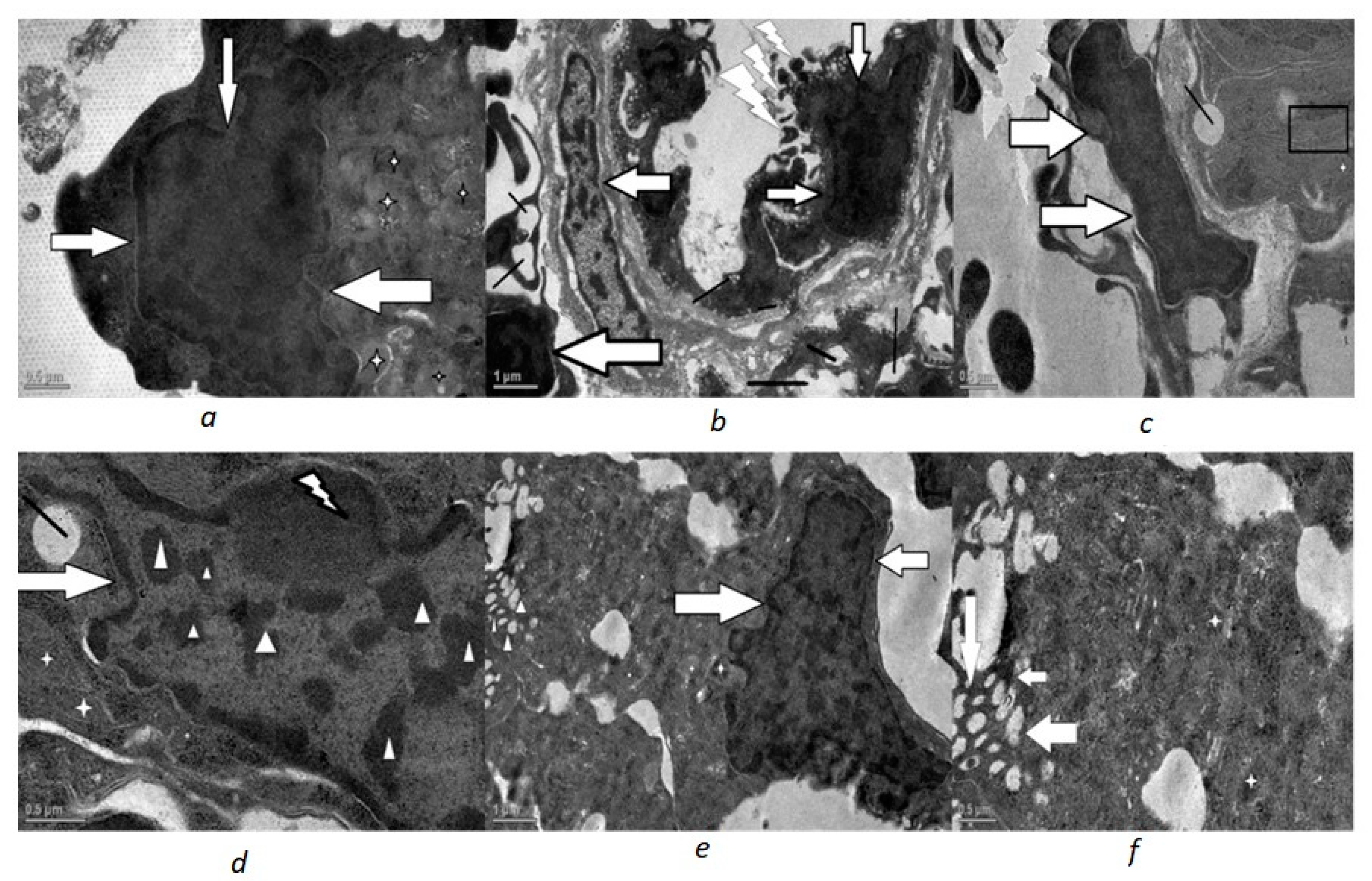 Toxics 10 00177 g003