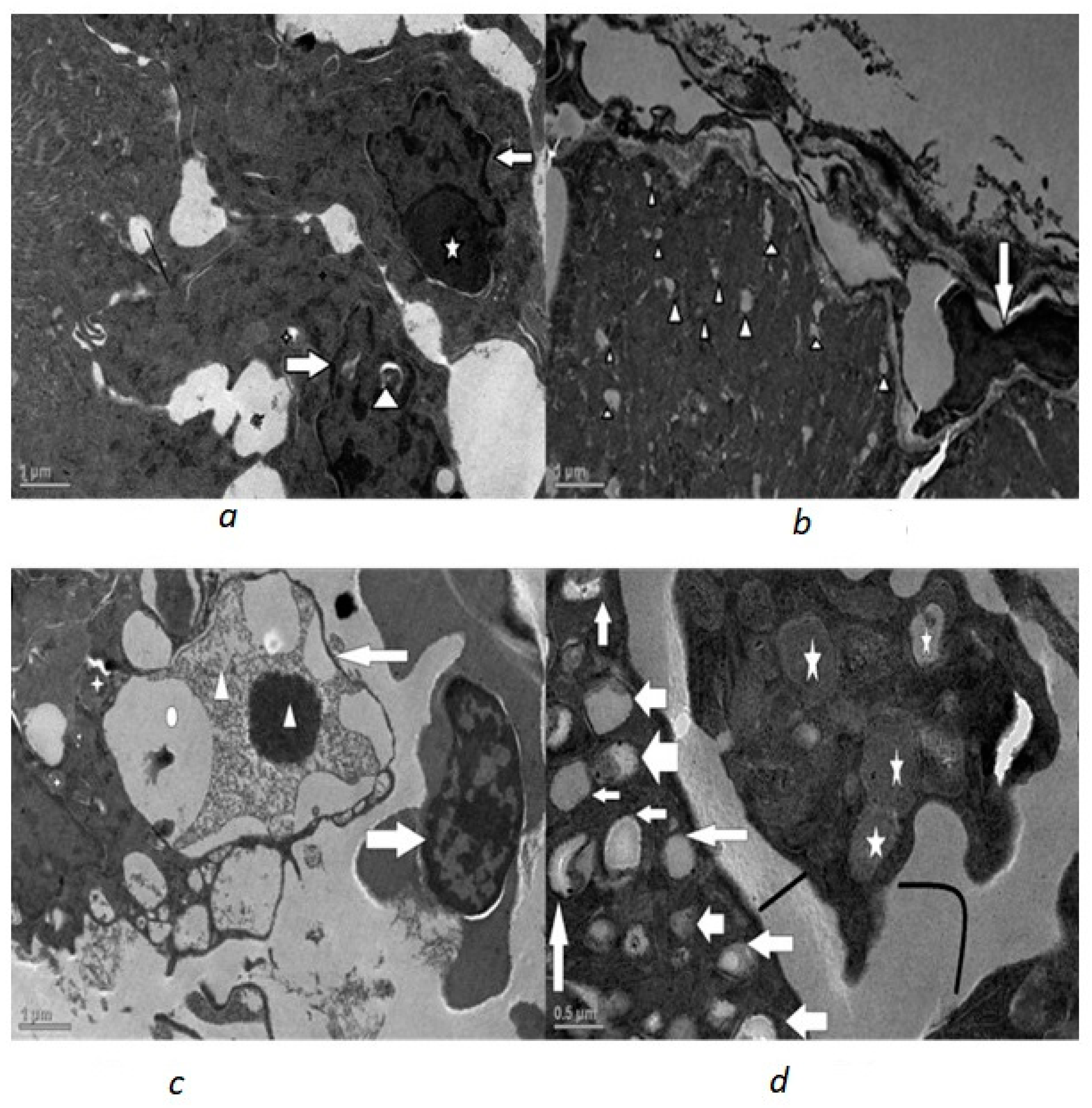 Toxics 10 00177 g004