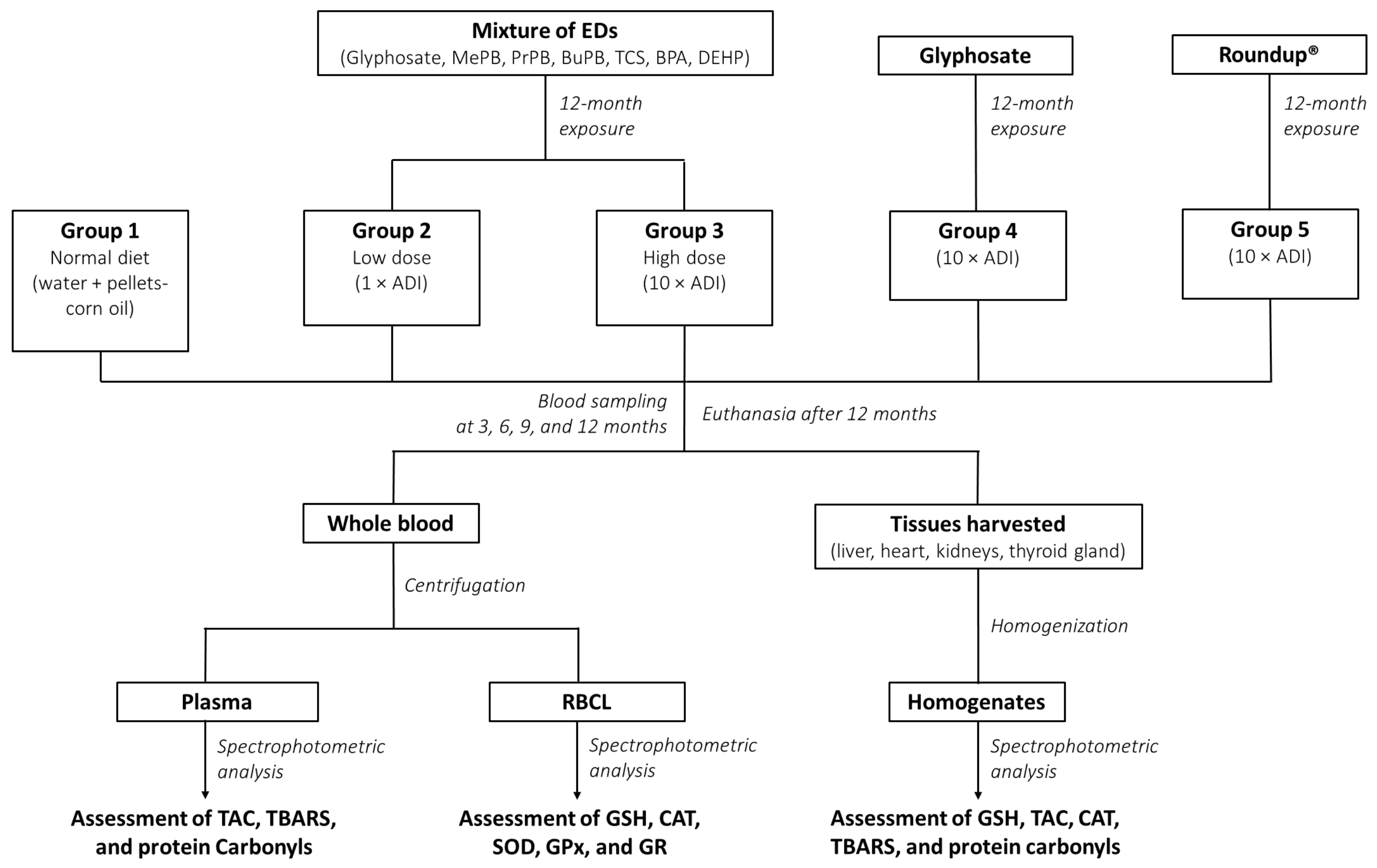 Toxics 10 00190 g001