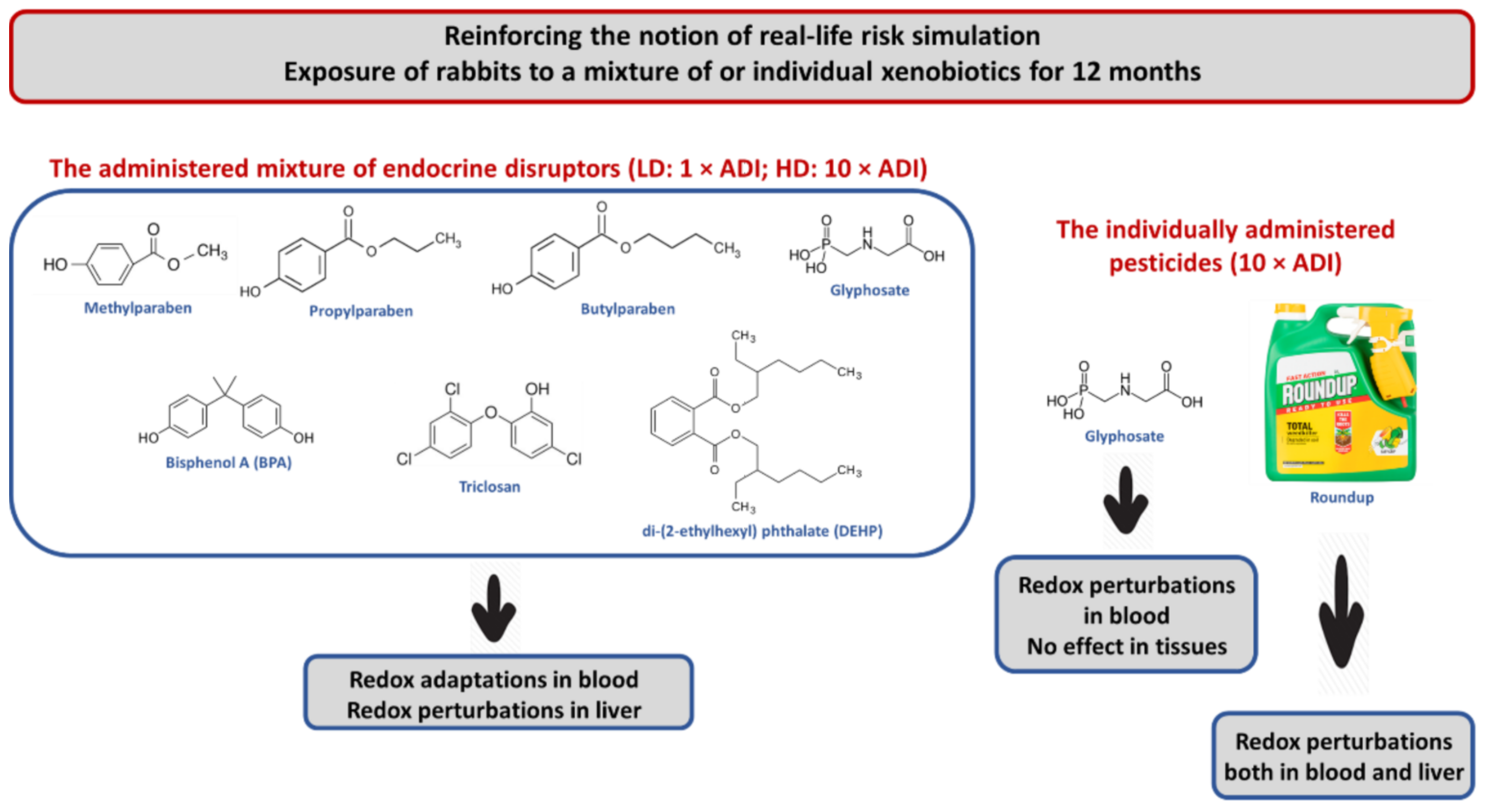 Toxics 10 00190 g011