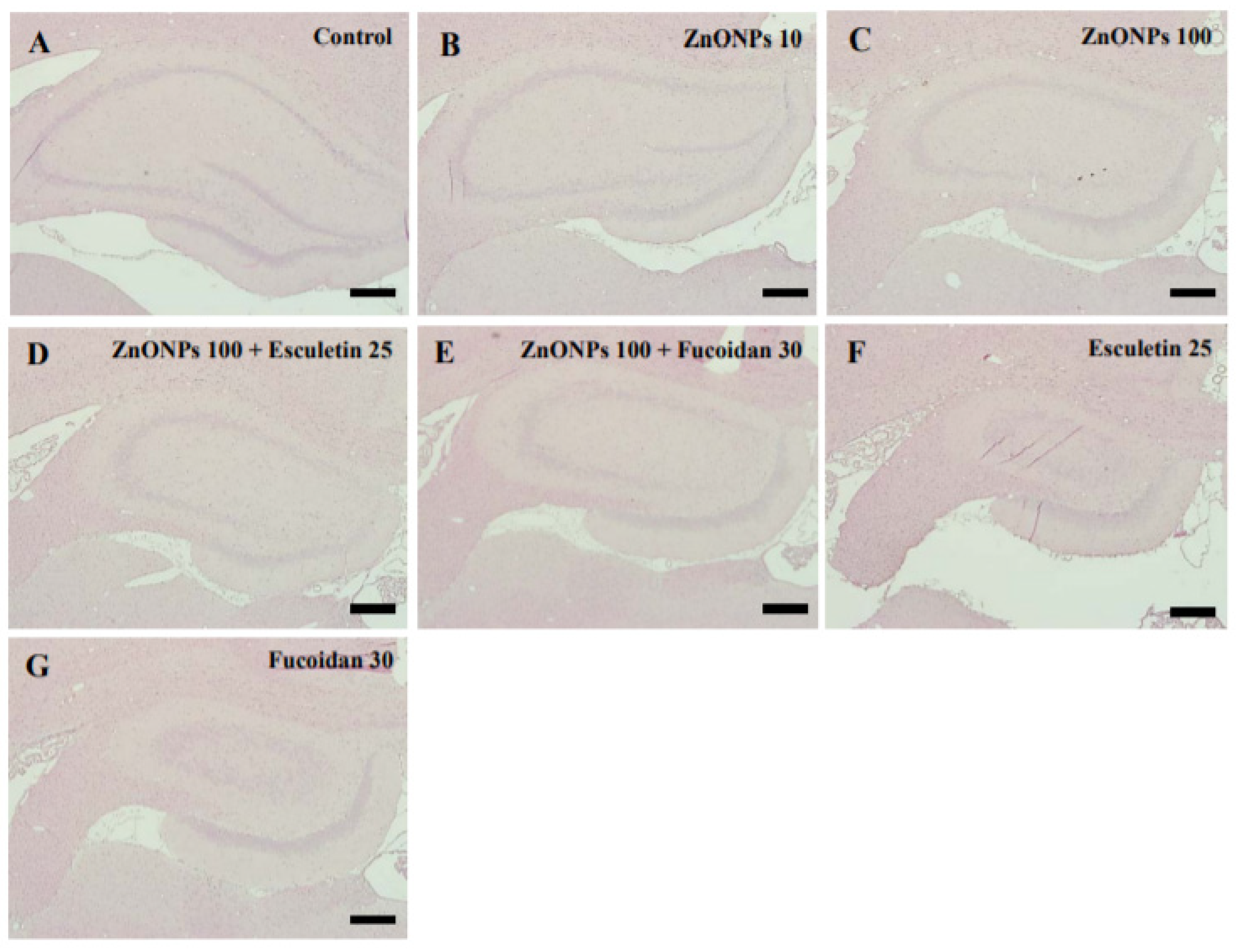 Toxics 10 00194 g009