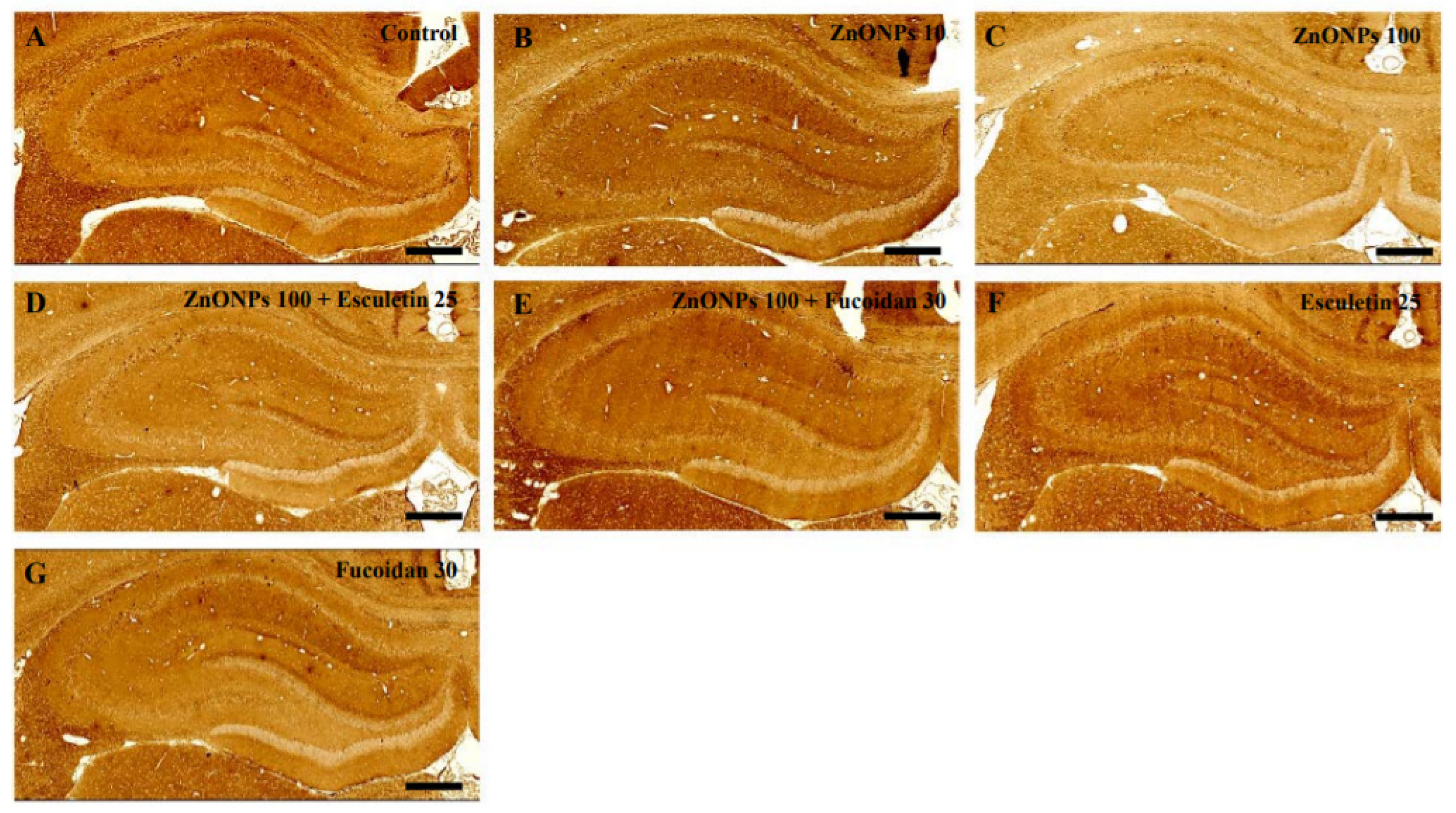 Toxics 10 00194 g010