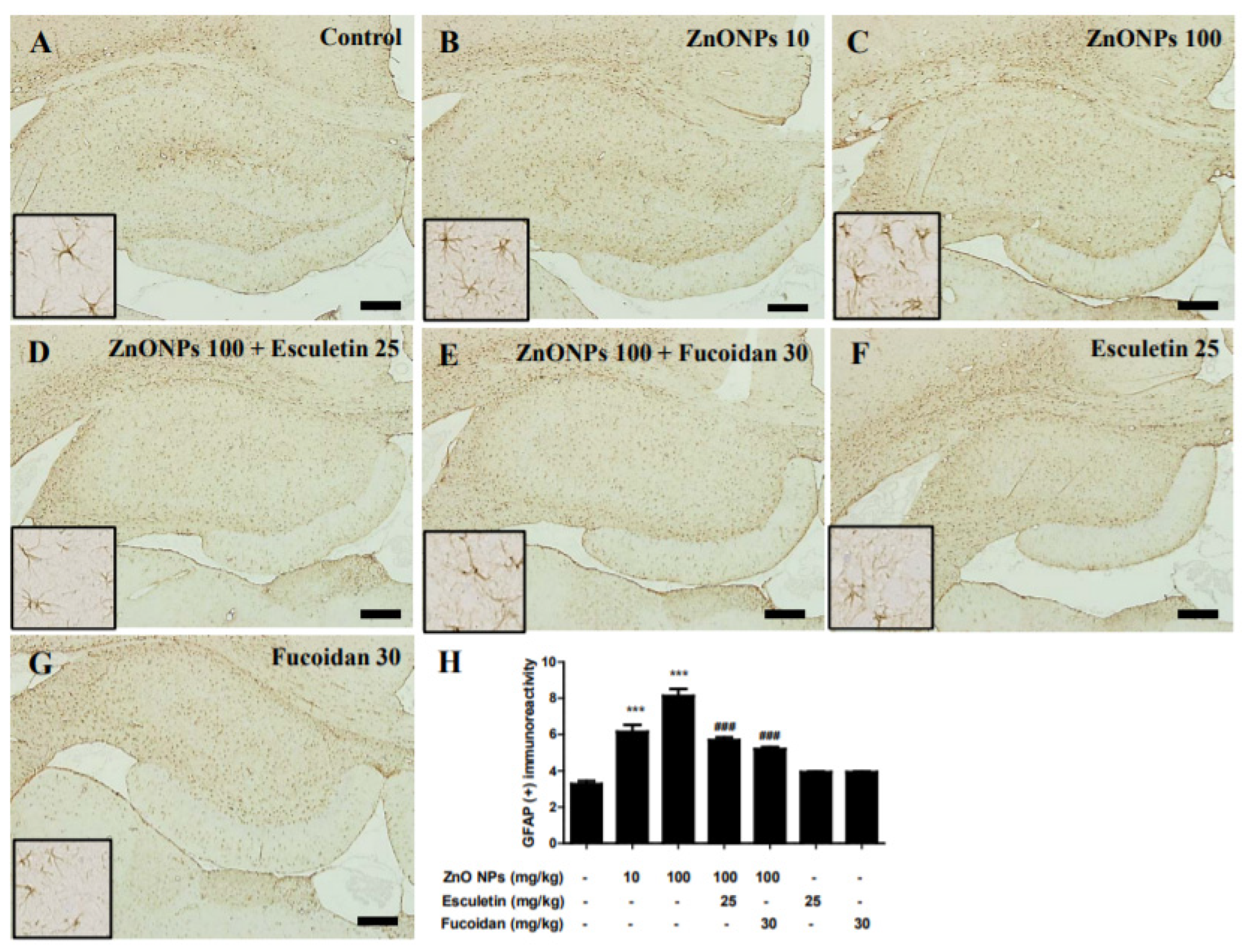 Toxics 10 00194 g012