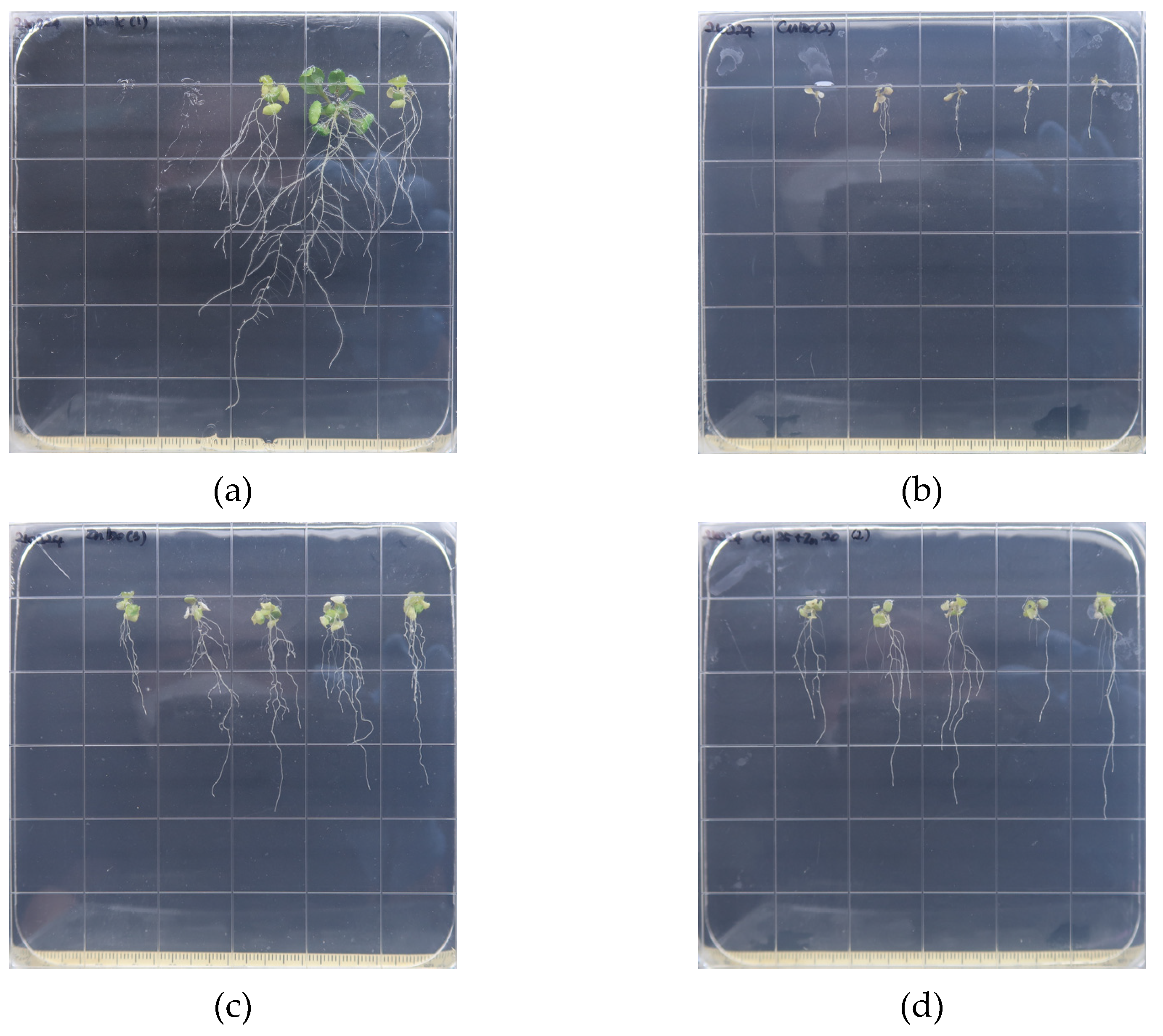 Toxics 10 00195 g002