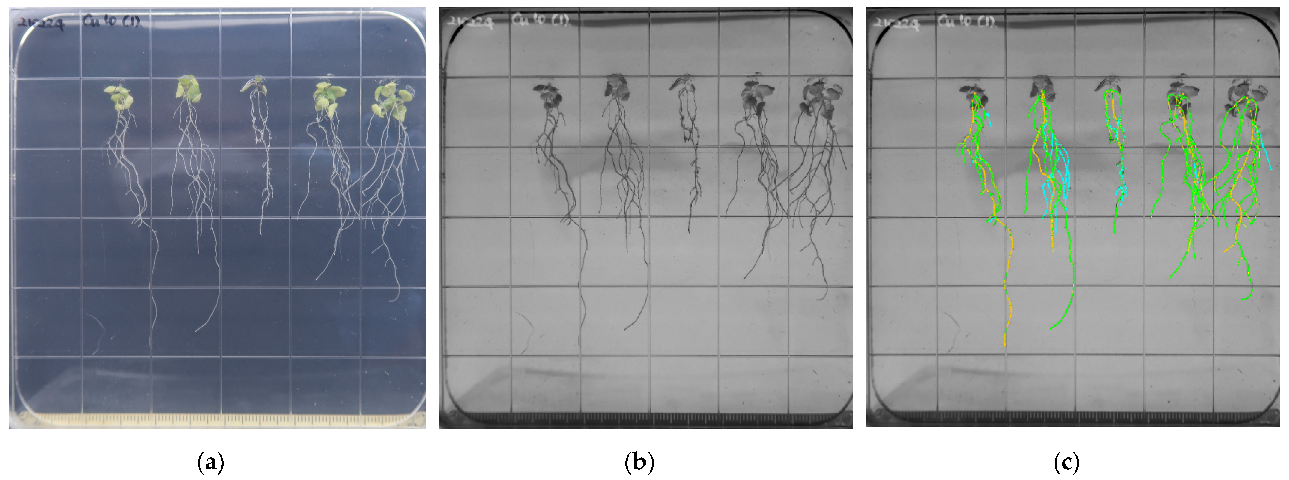 Toxics 10 00195 g003