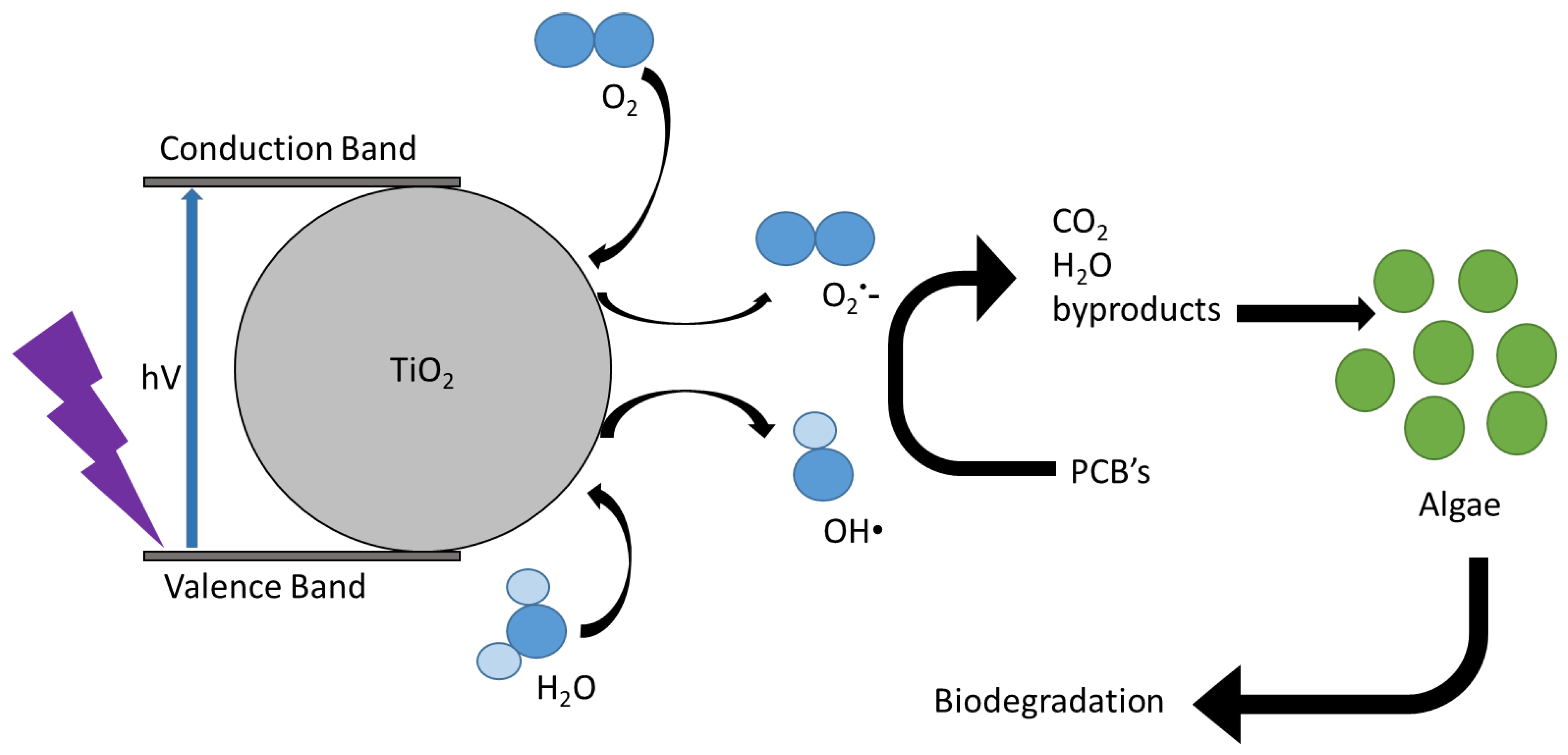Toxics 10 00209 g002