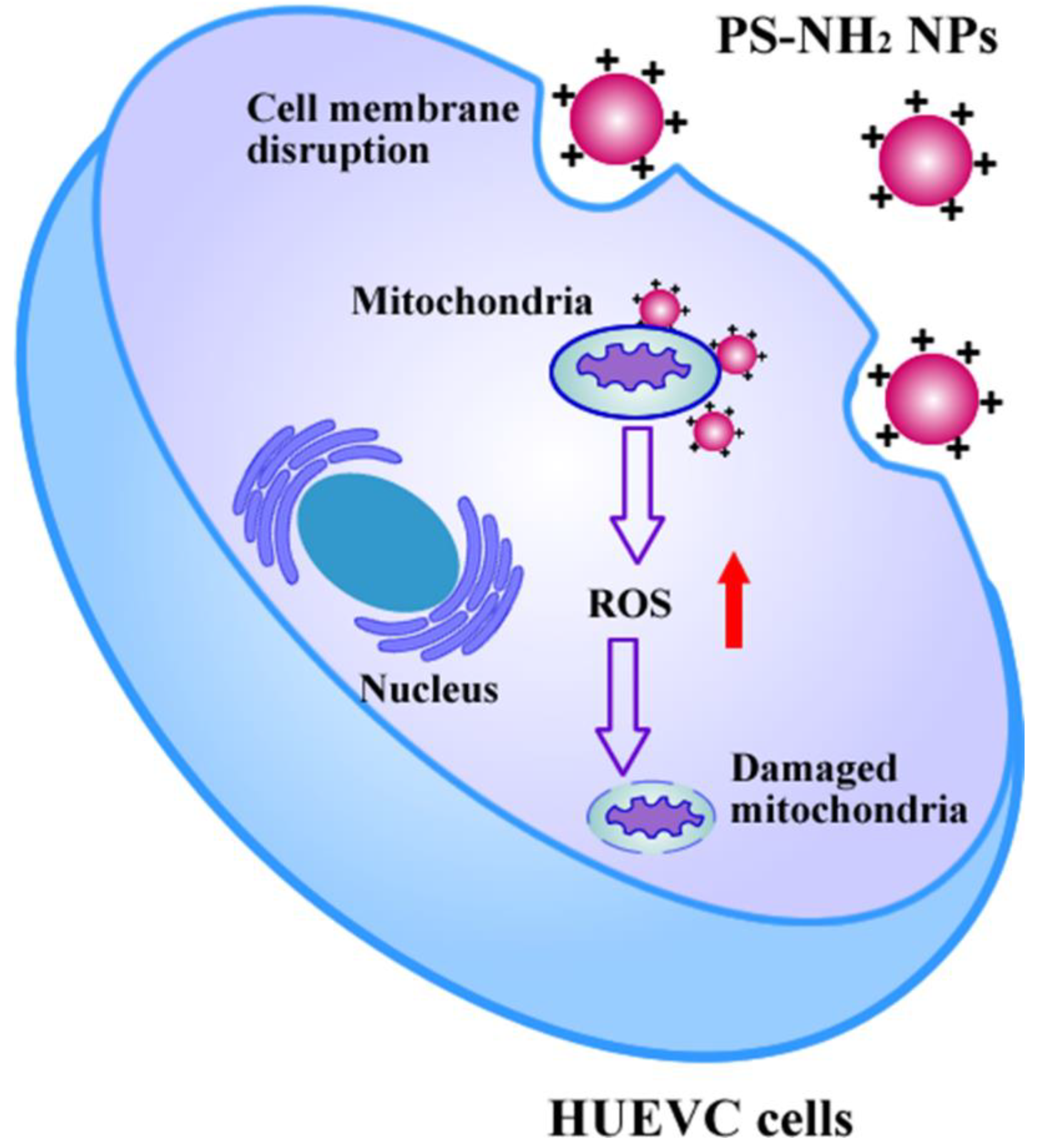 Toxics 10 00215 sch001