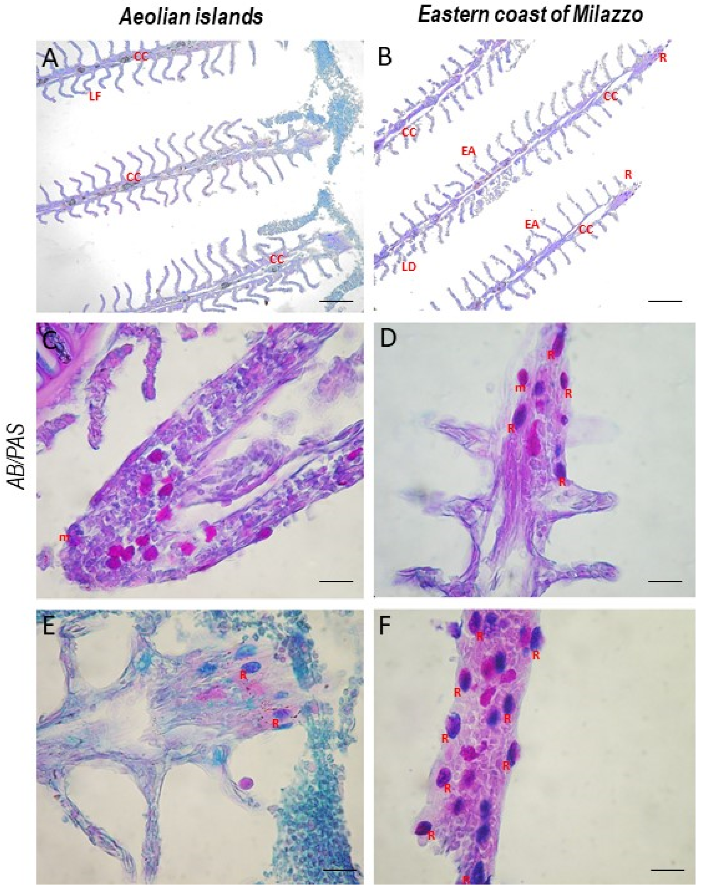 Toxics 10 00218 g002