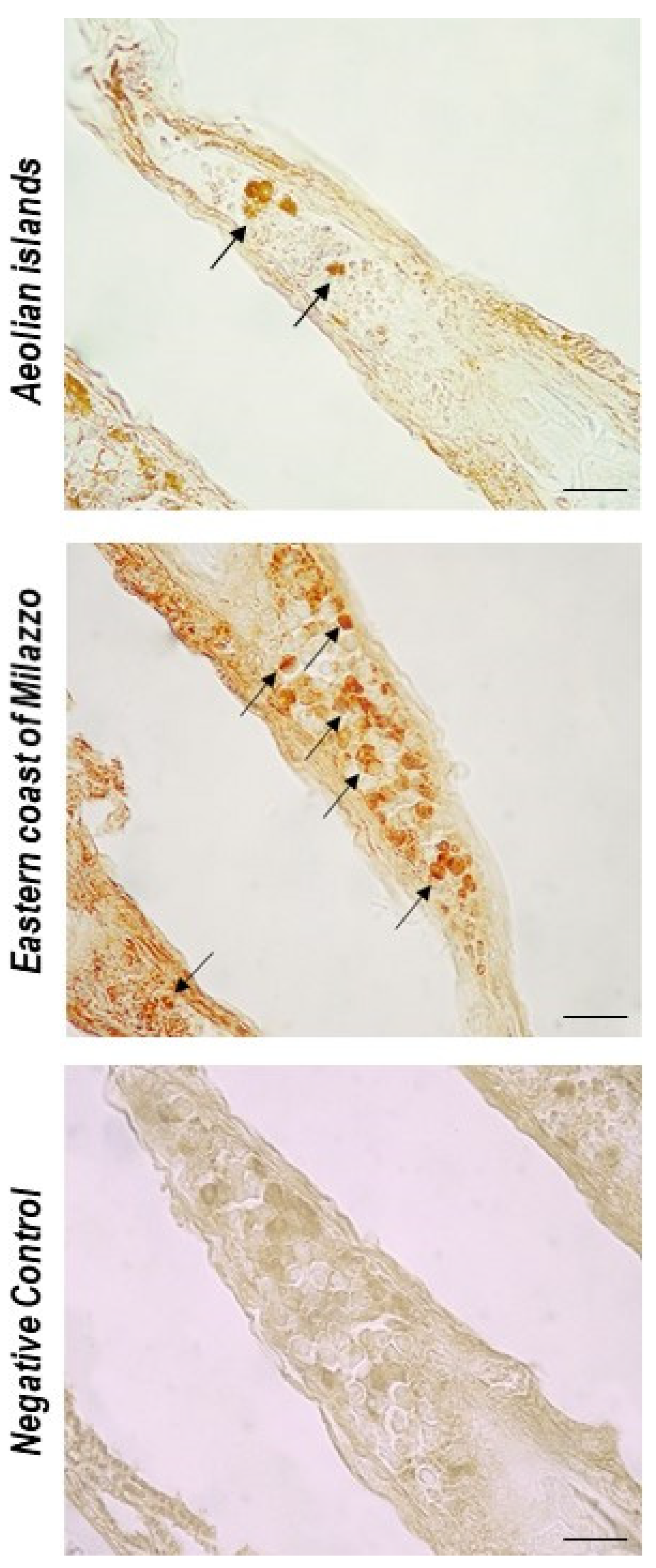 Toxics 10 00218 g003