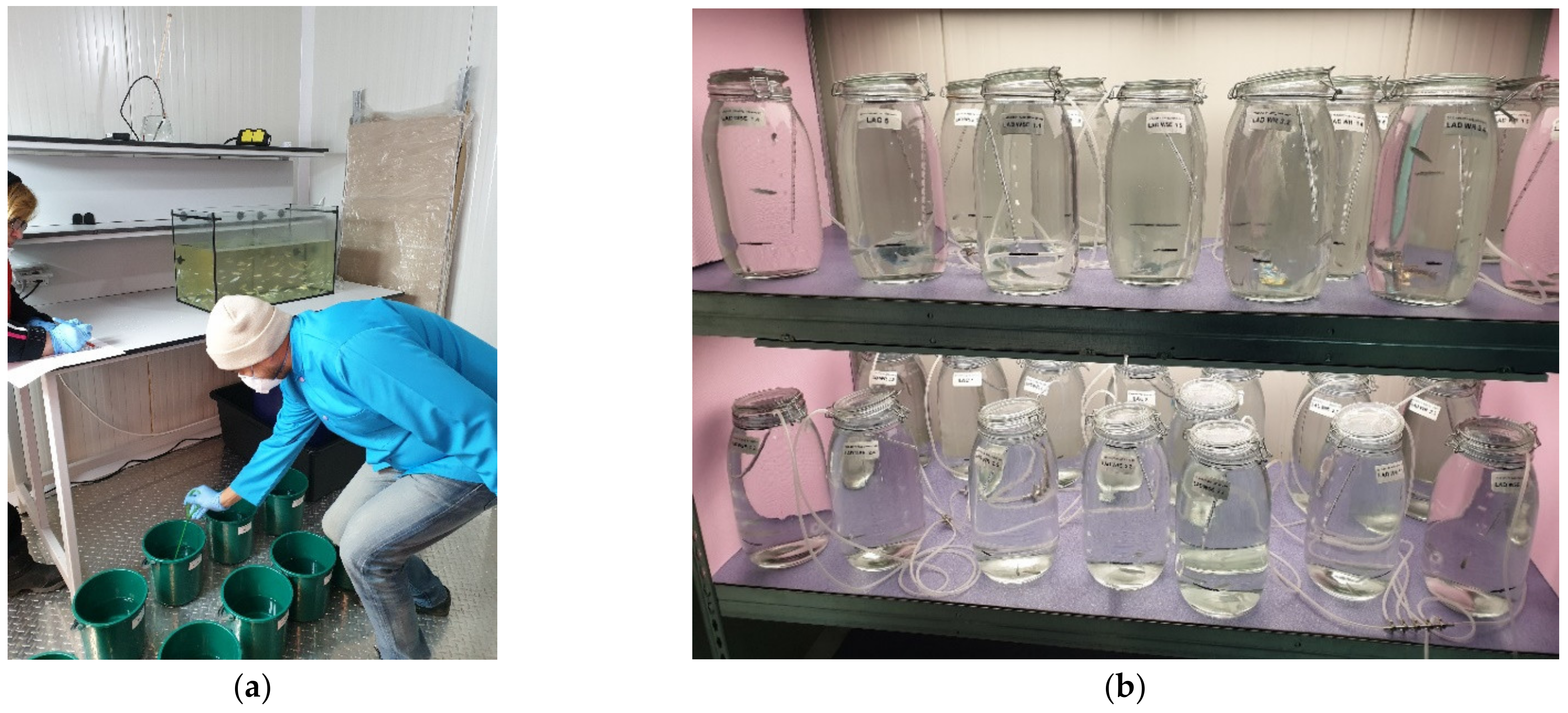 Toxics 10 00222 g003
