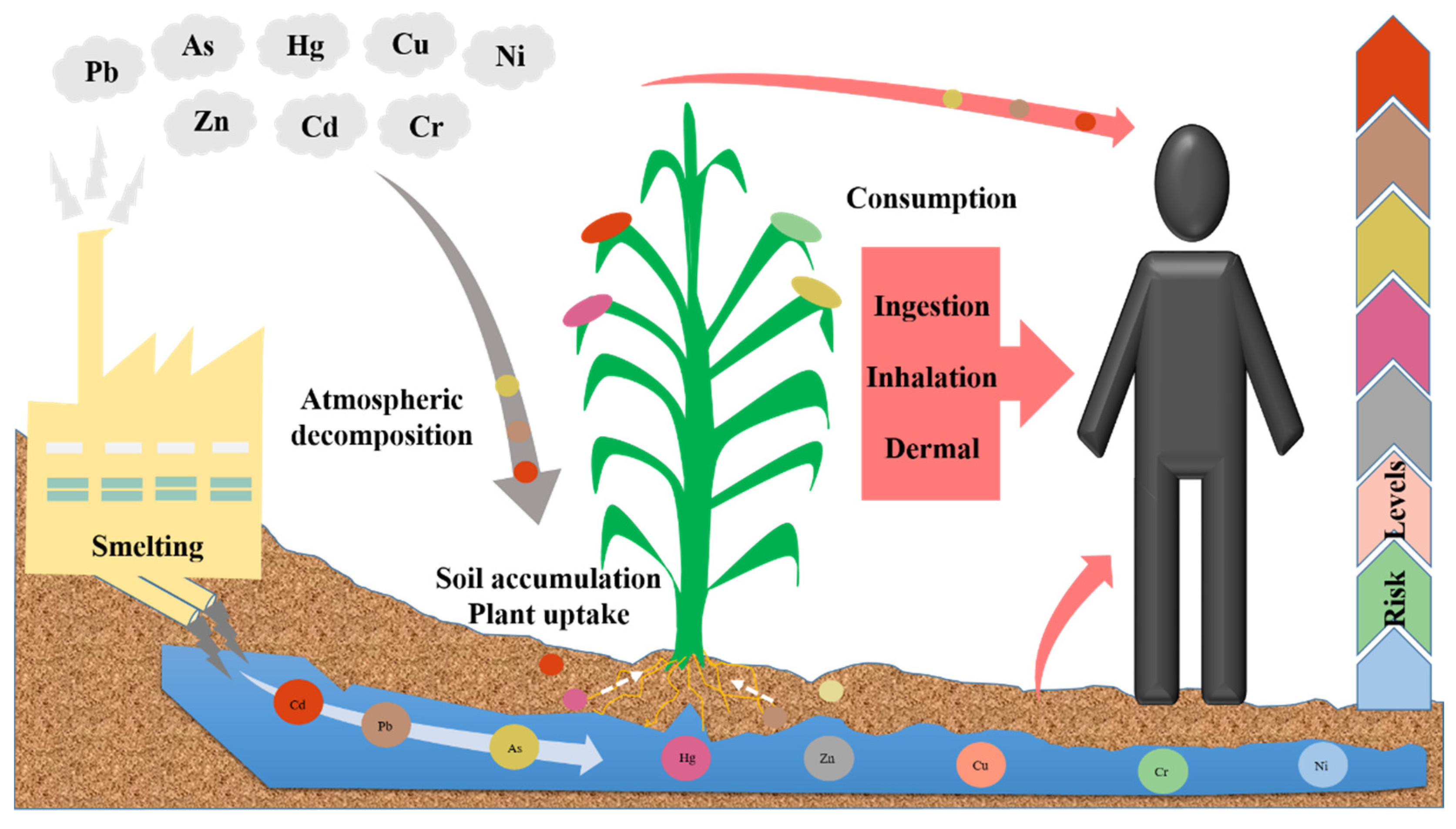 Toxics 10 00231 g002