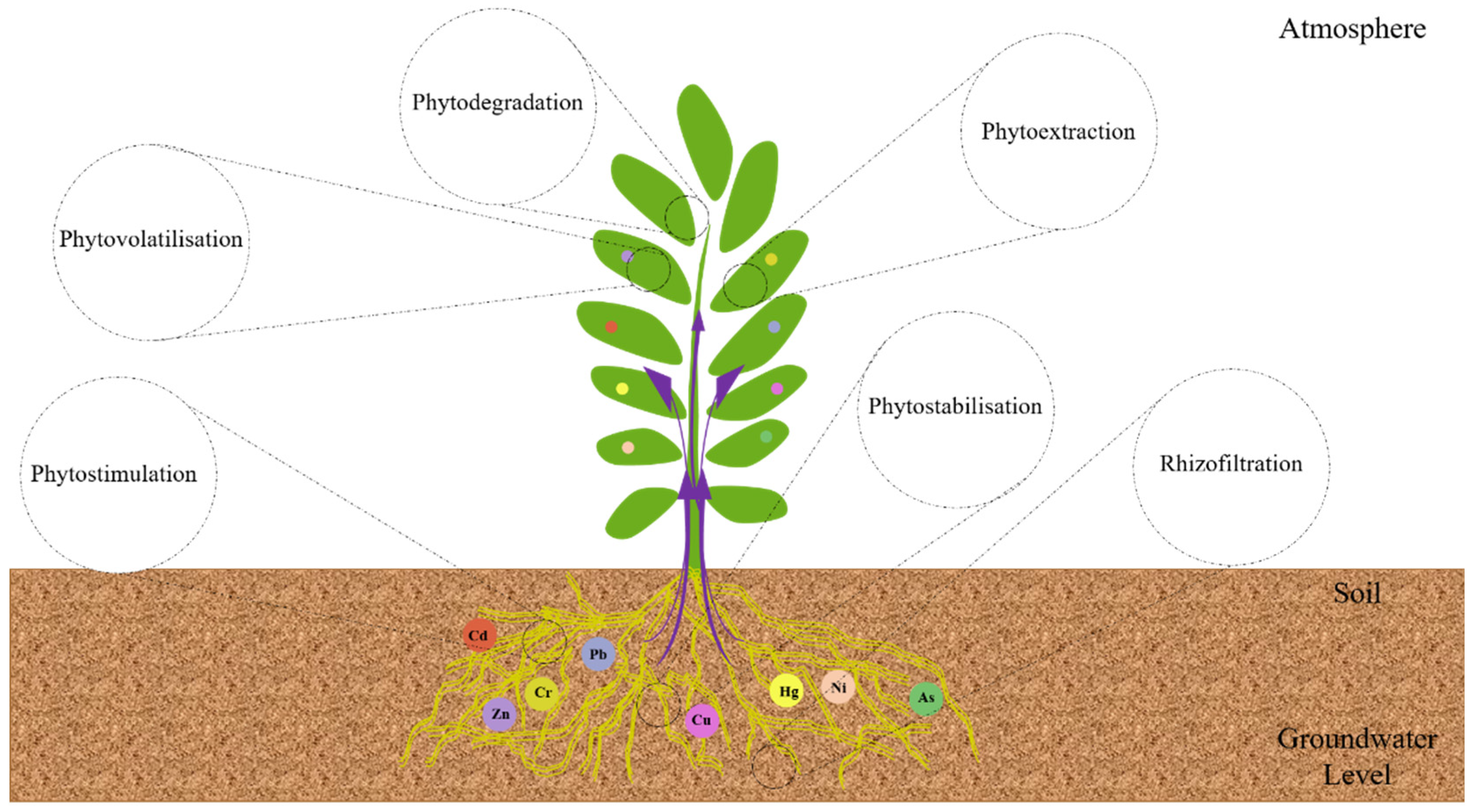 Toxics 10 00231 g005