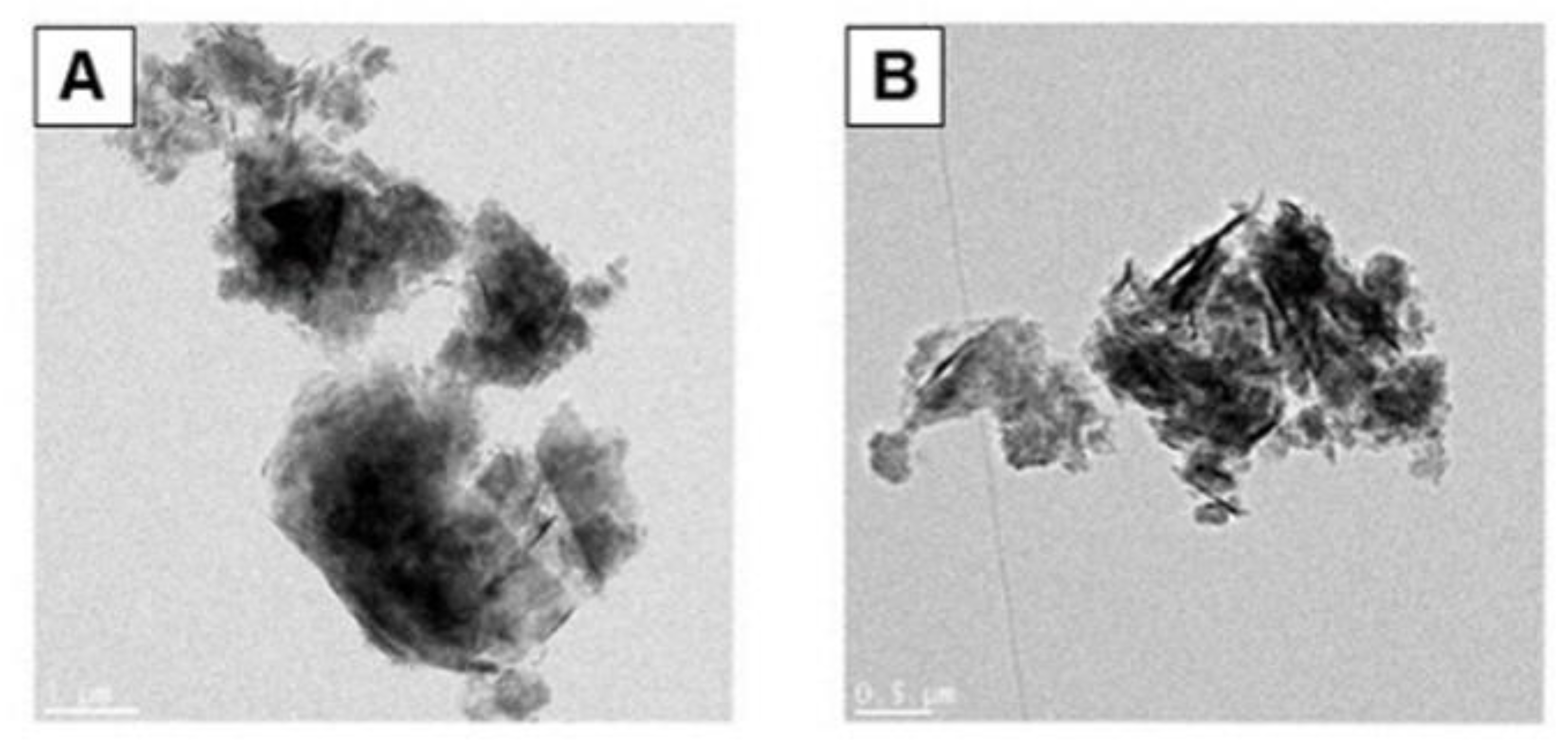 Toxics 10 00236 g001