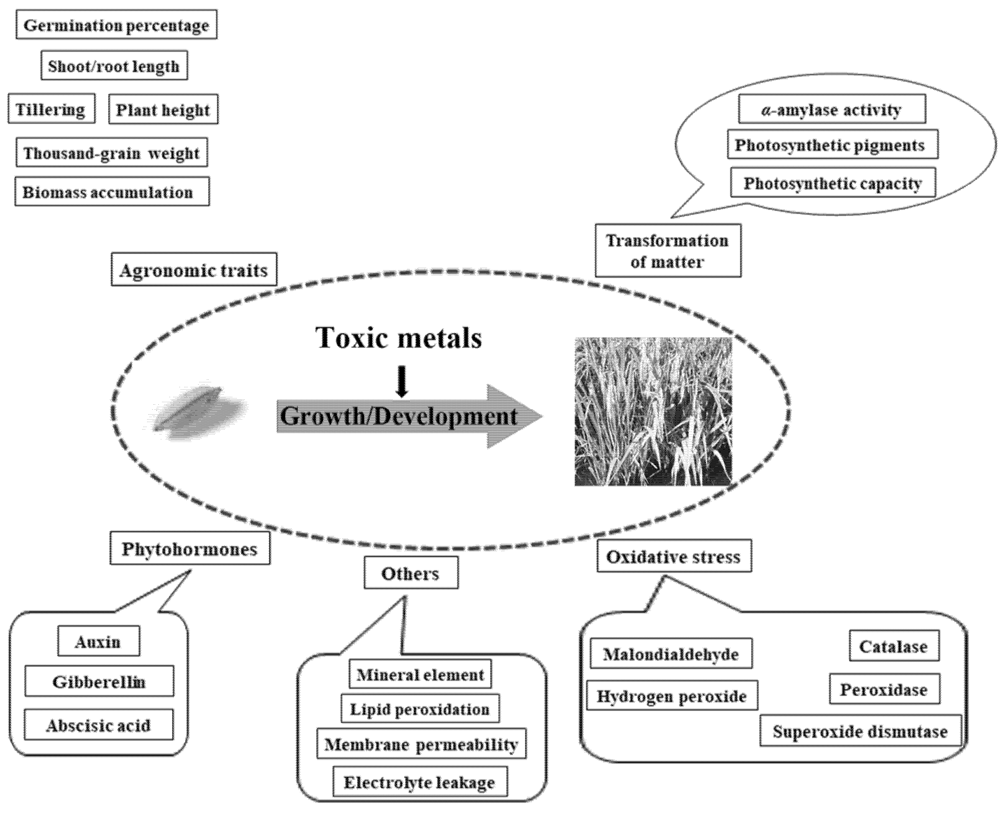 Toxics 10 00249 g001