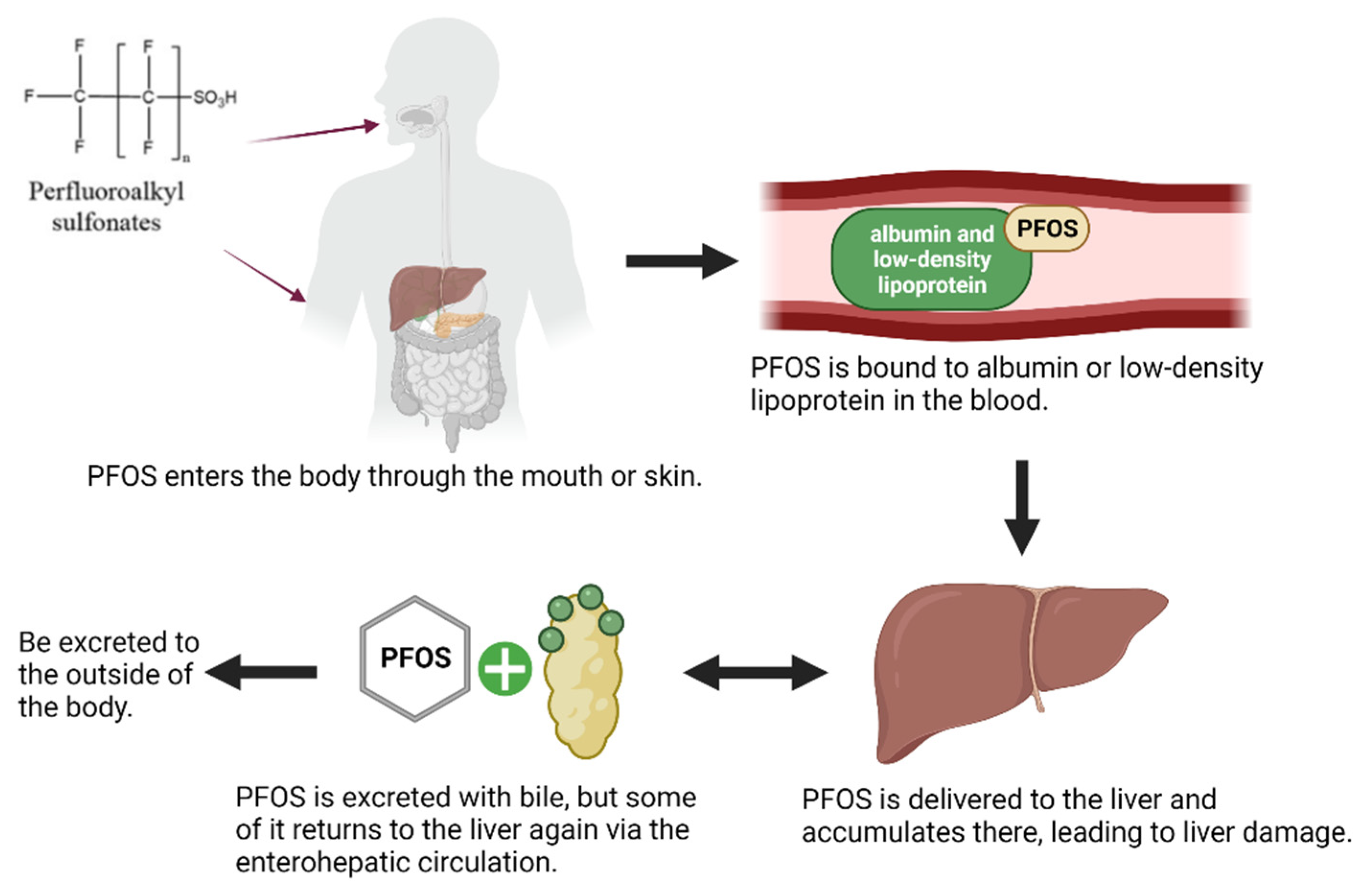 Toxics 10 00265 g001