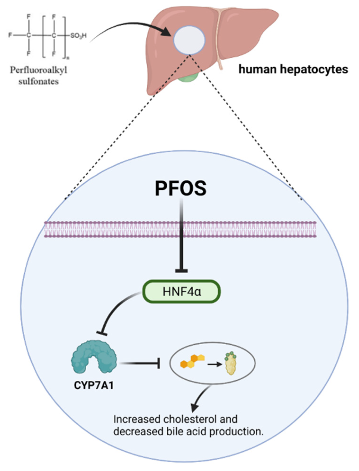 Toxics 10 00265 g002