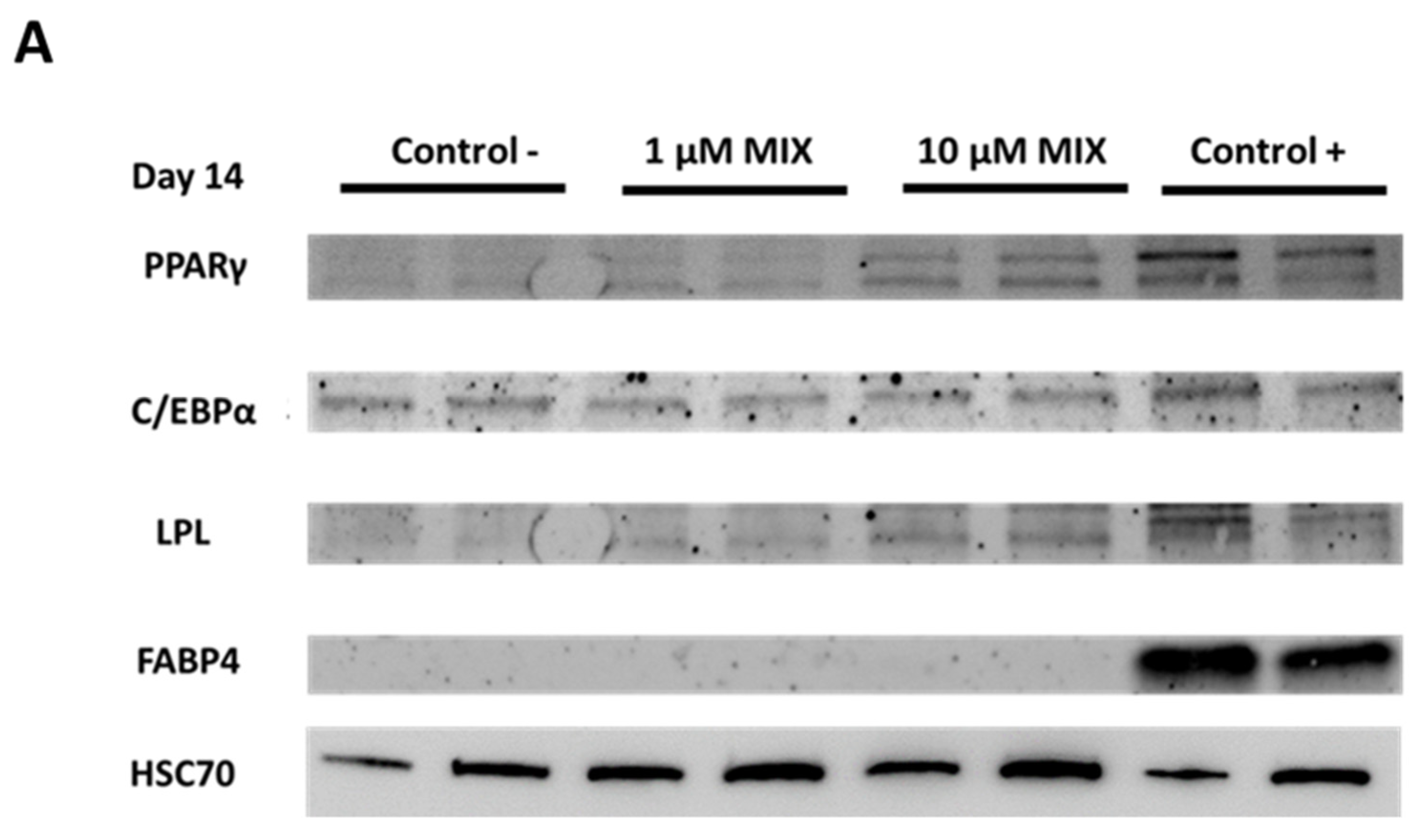 Toxics 10 00287 g004a Toxics 10 00287 g004a