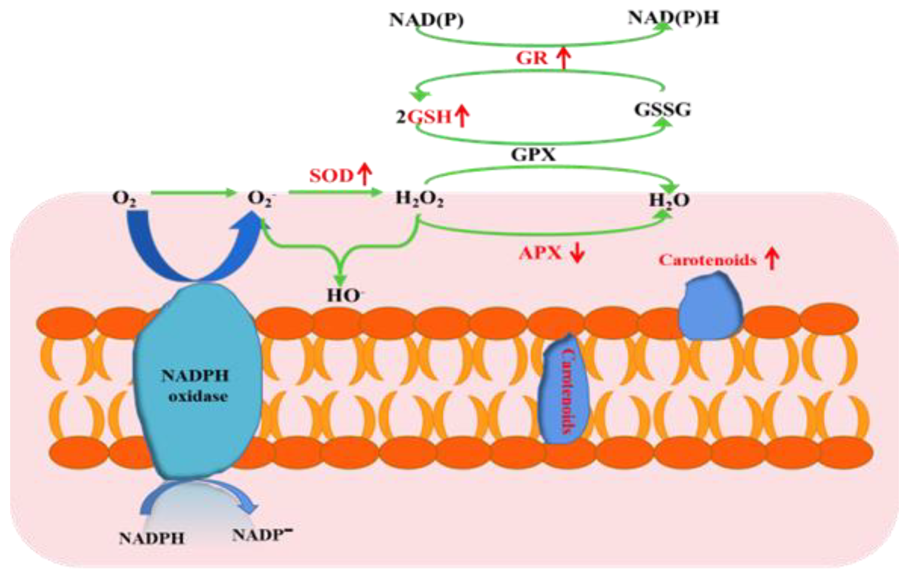 Toxics 10 00302 g004