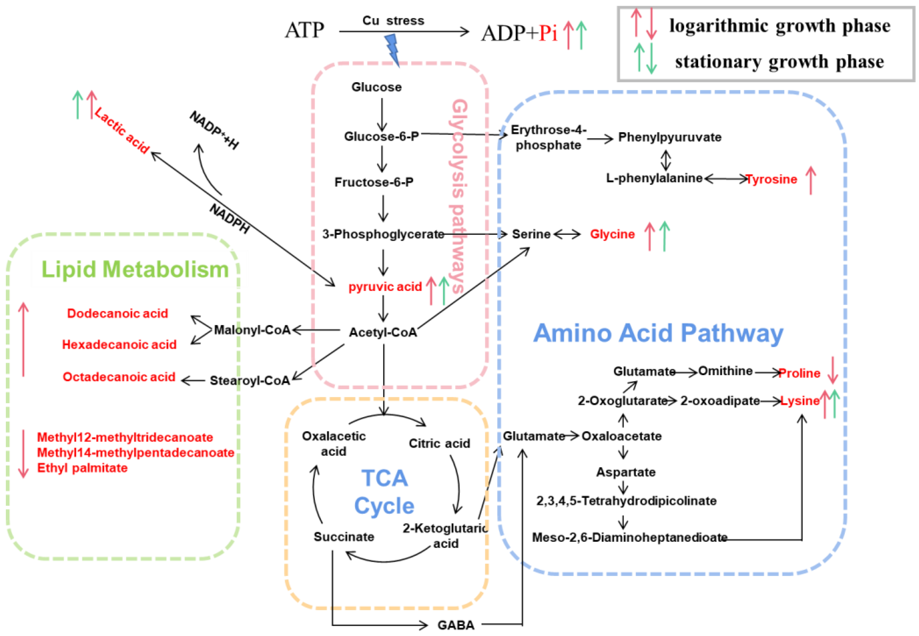 Toxics 10 00302 g005