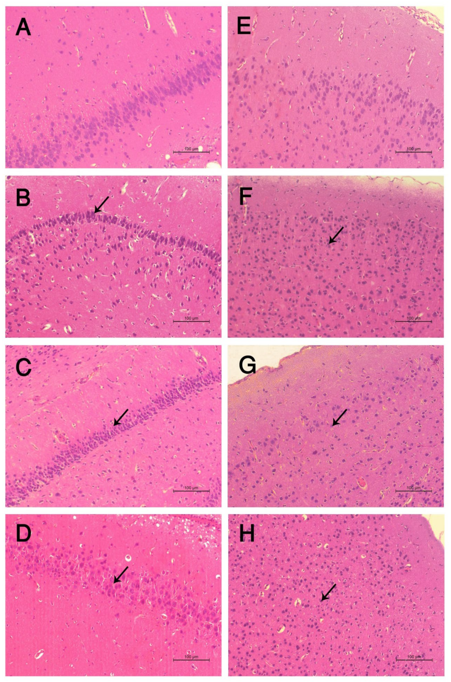 Toxics 10 00303 g003