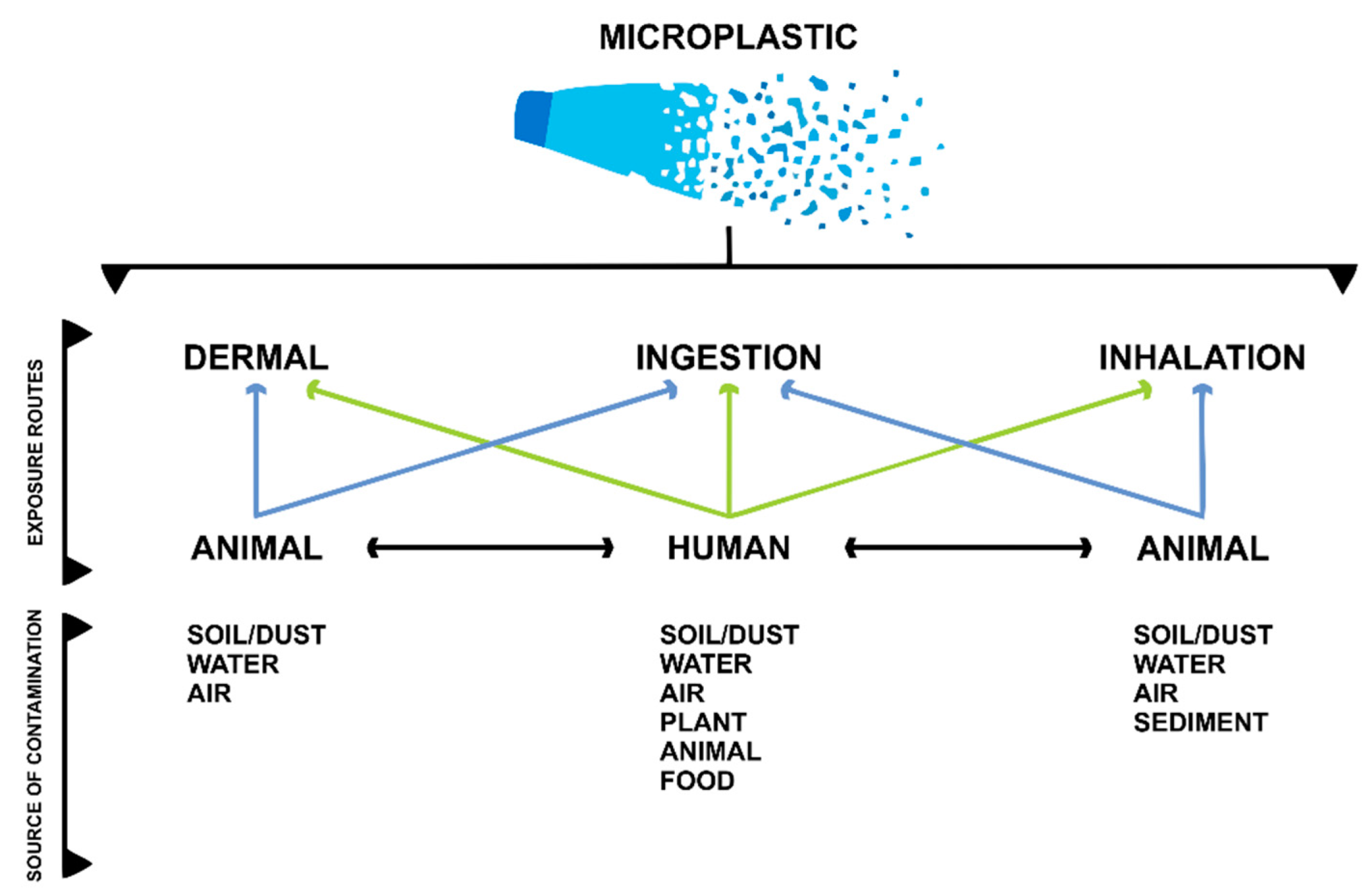 Toxics 10 00308 g001
