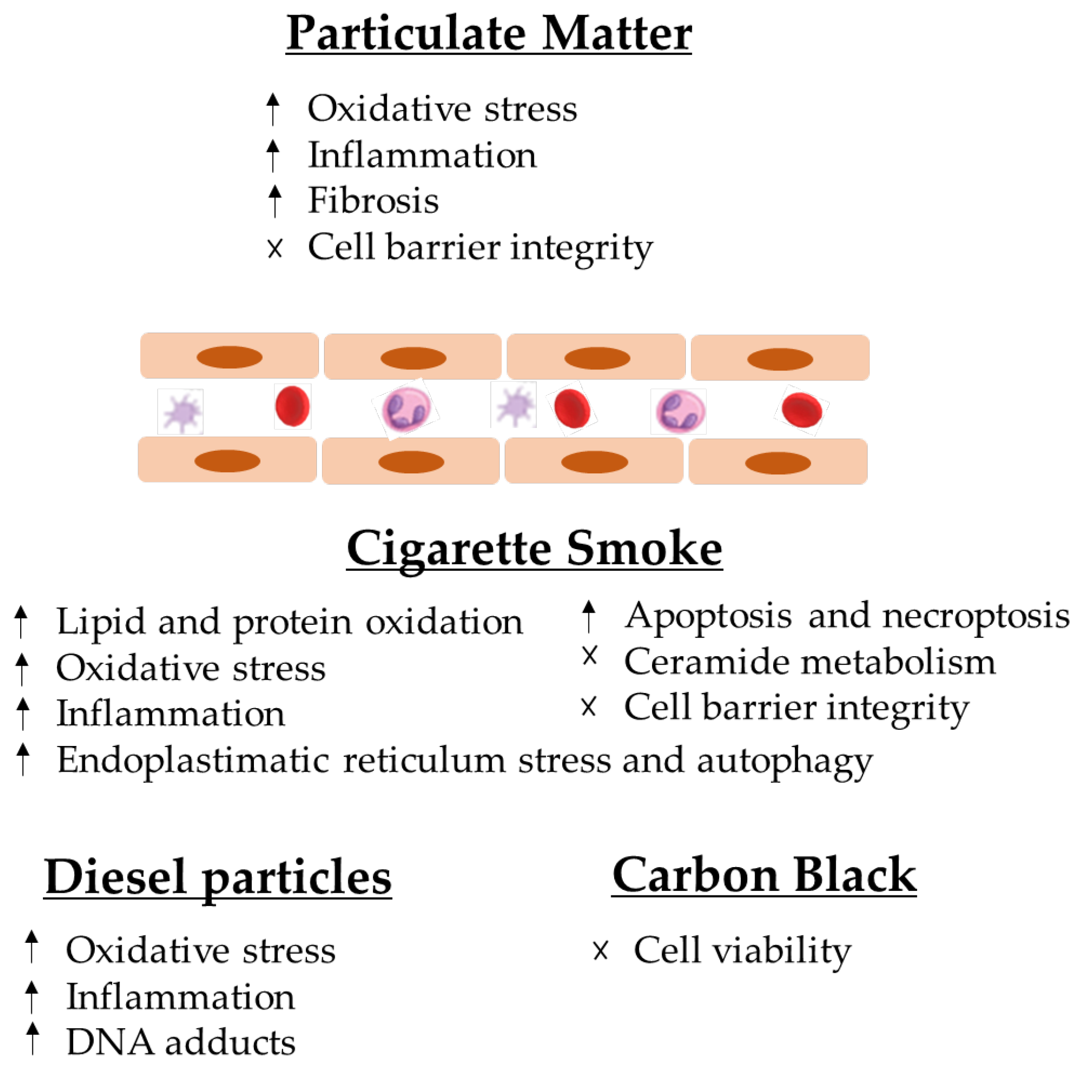 Toxics 10 00312 g002