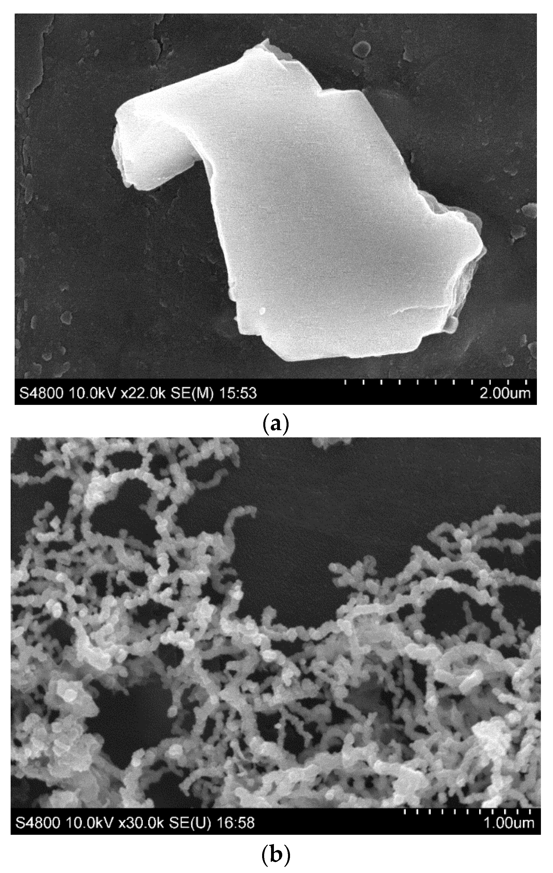 Toxics 10 00332 g002a