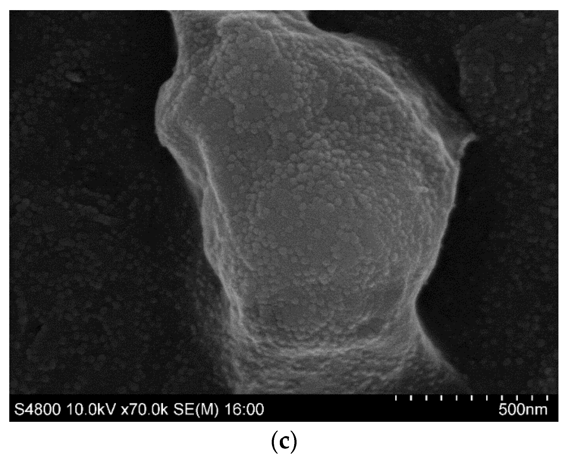 Toxics 10 00332 g002b