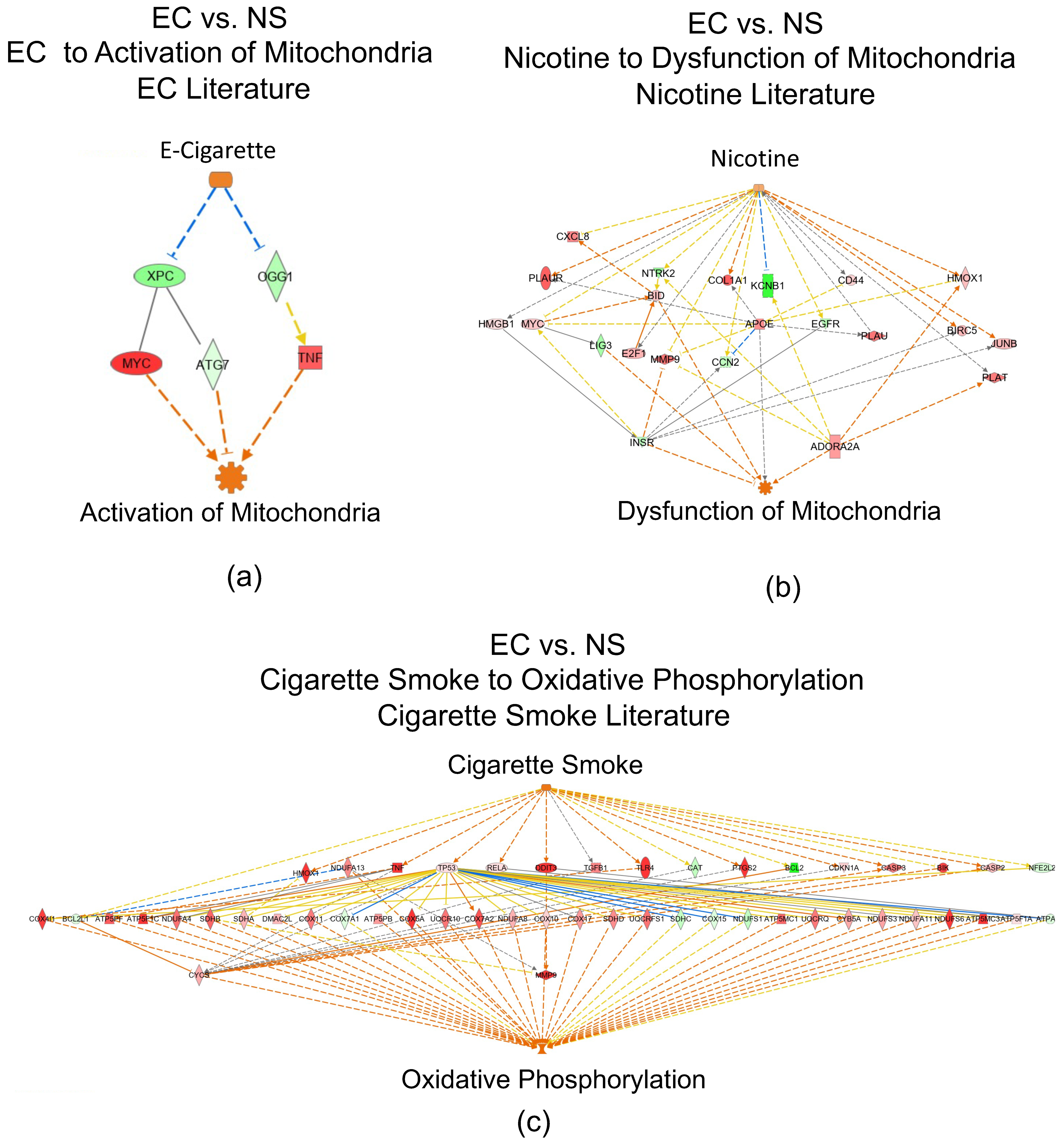 Toxics 10 00370 g004