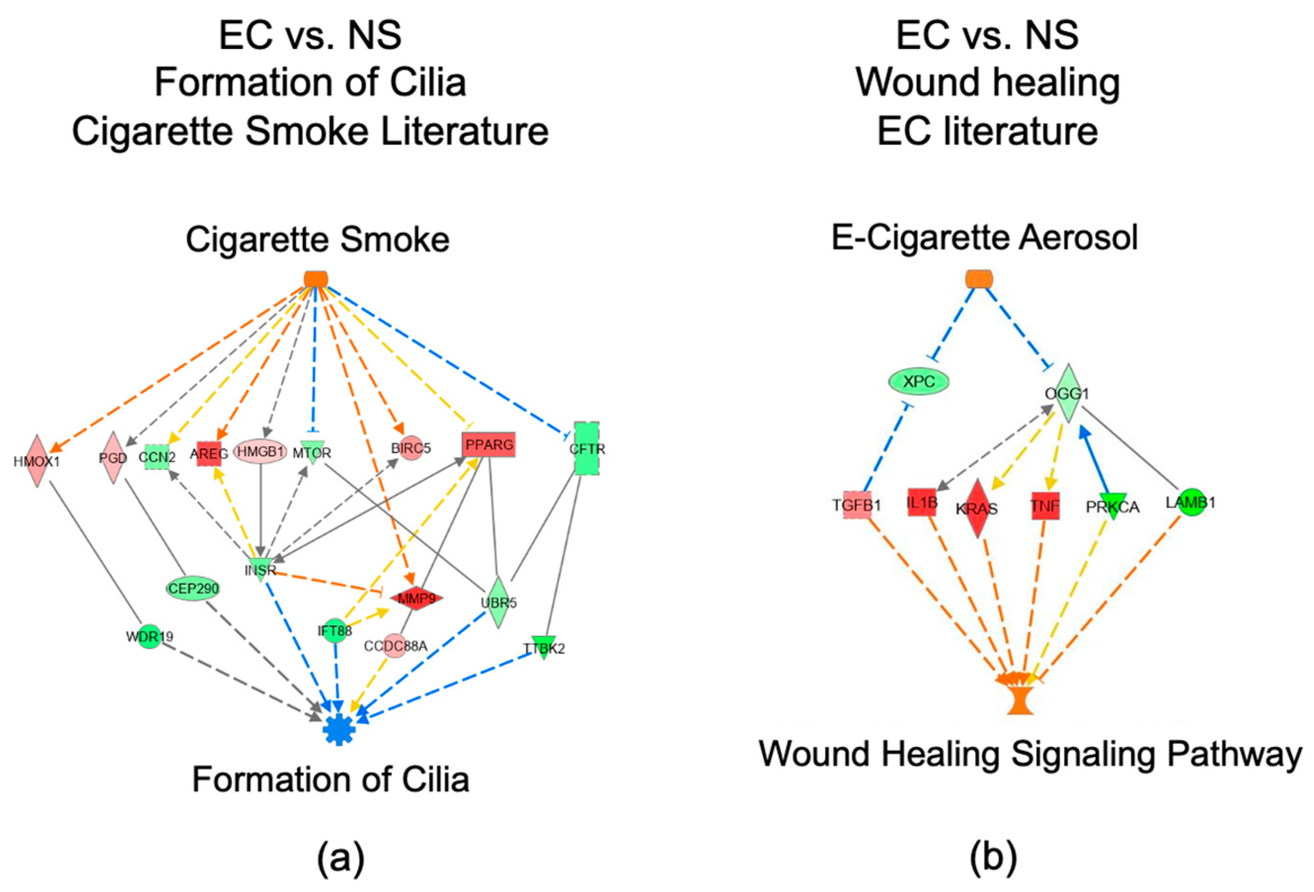 Toxics 10 00370 g005