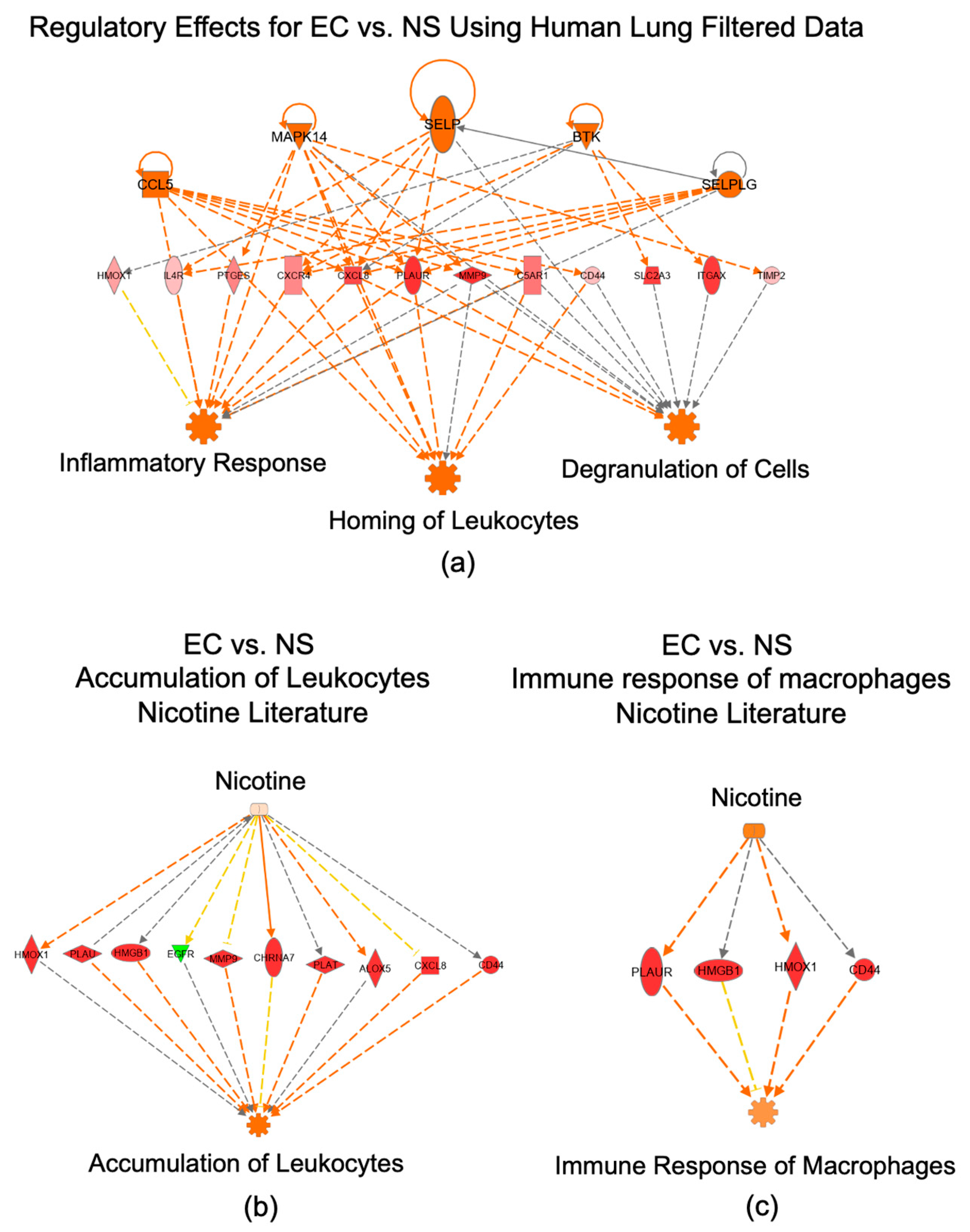 Toxics 10 00370 g006