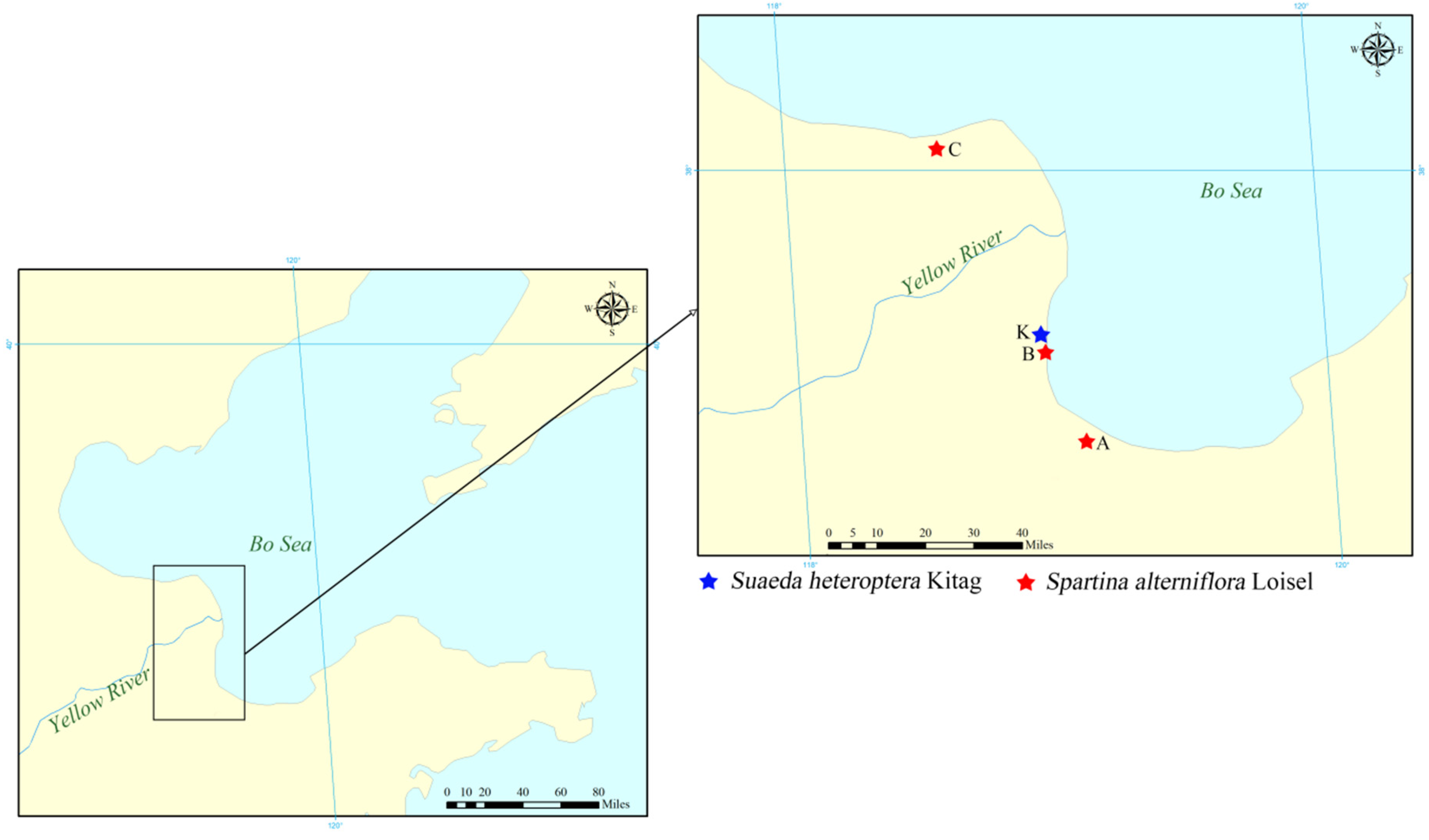 Toxics 10 00374 g001