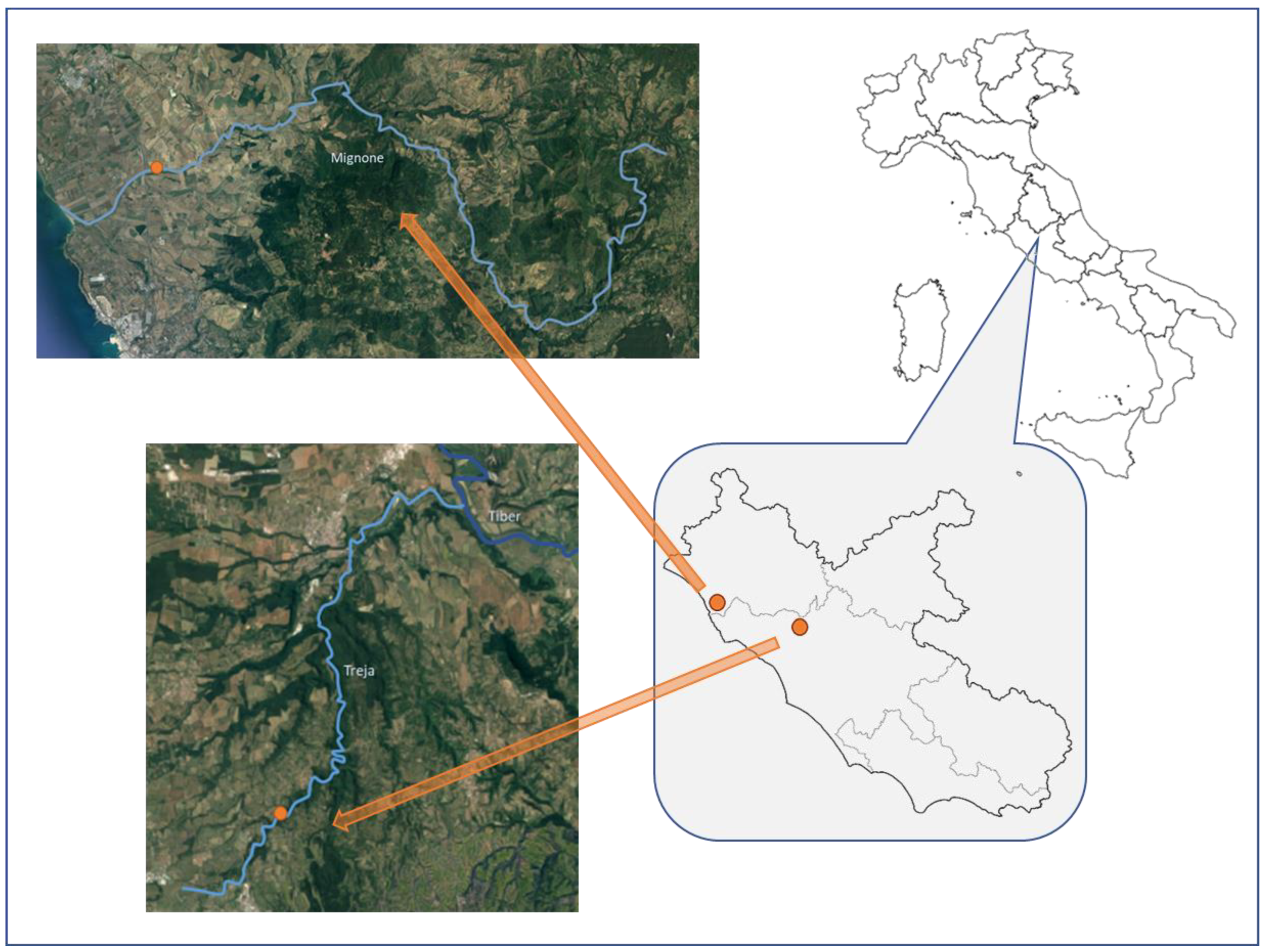 Toxics 10 00383 g001
