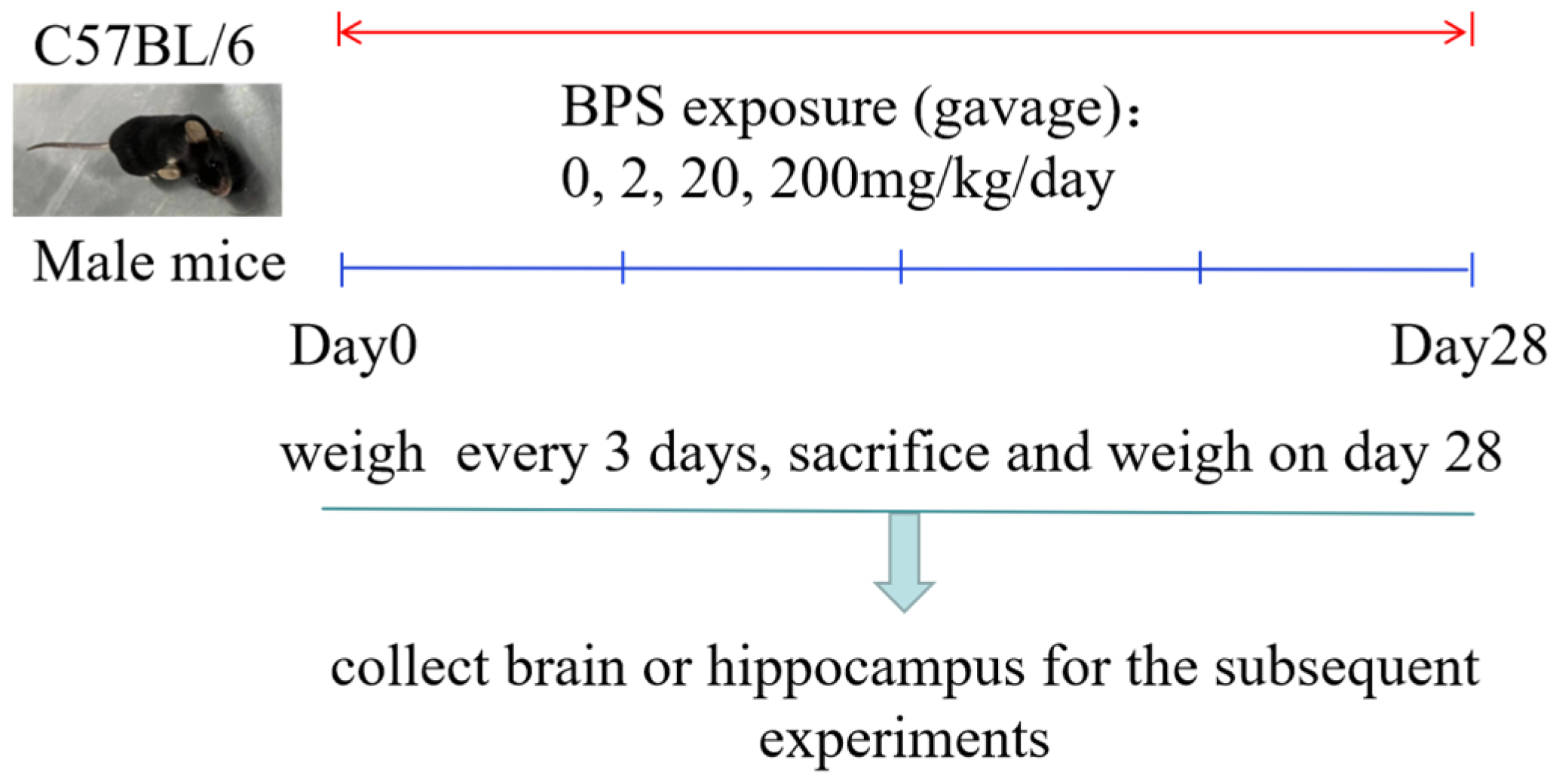 Toxics 10 00413 g001 Toxics 10 00413 g001