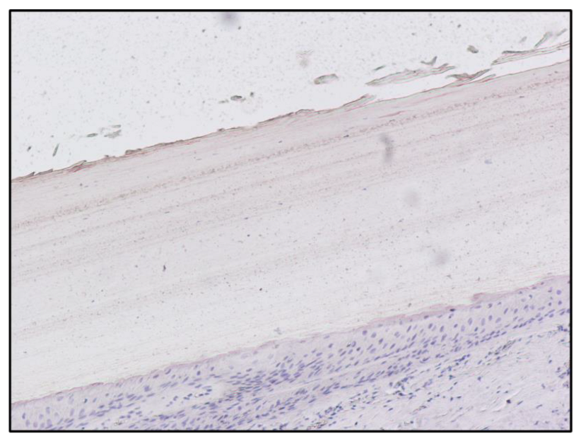 Toxics 10 00420 g003 Toxics 10 00420 g003